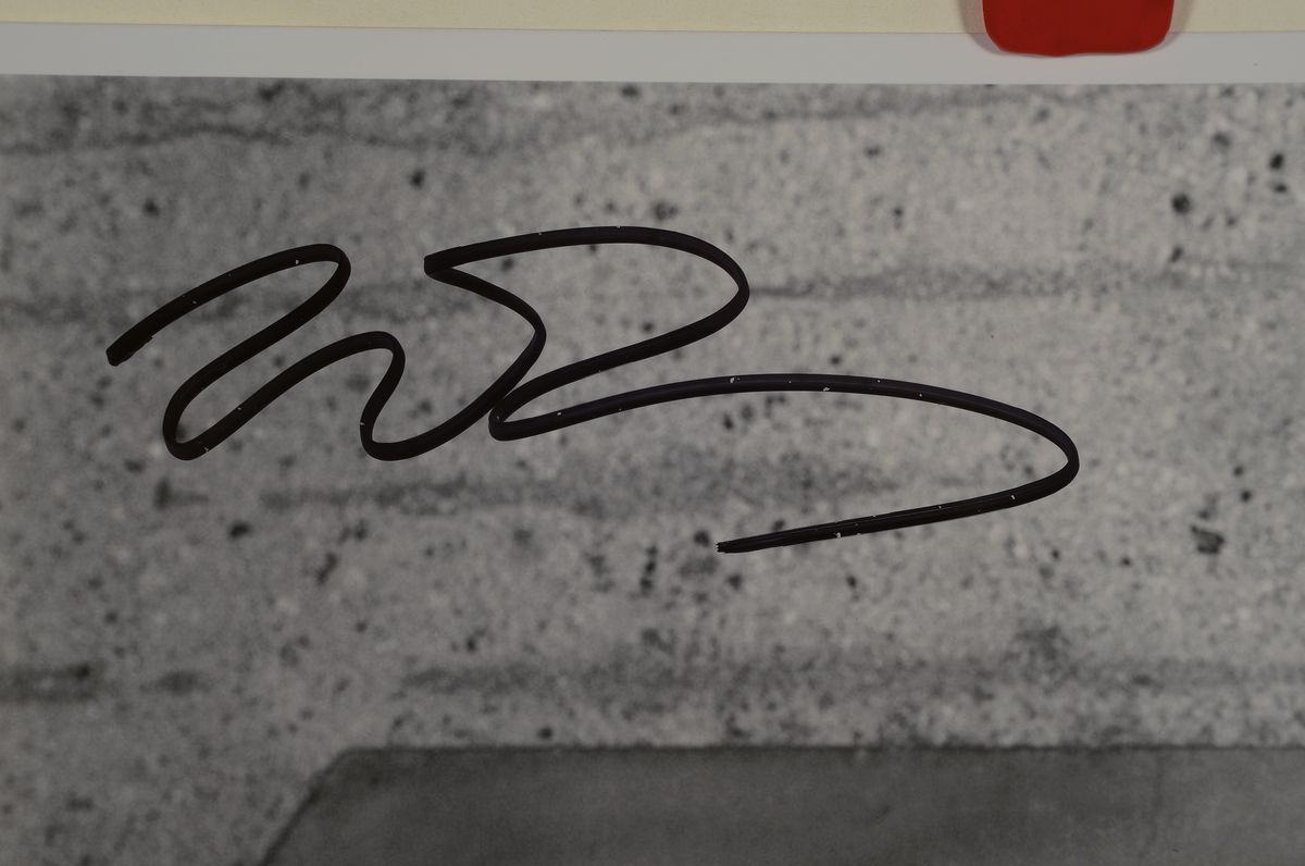 Detail e: Sante D' Orazio, geb. 1956, Pamela Anderson,s/w Fotografie, handsigniert, ca. 20x25cm