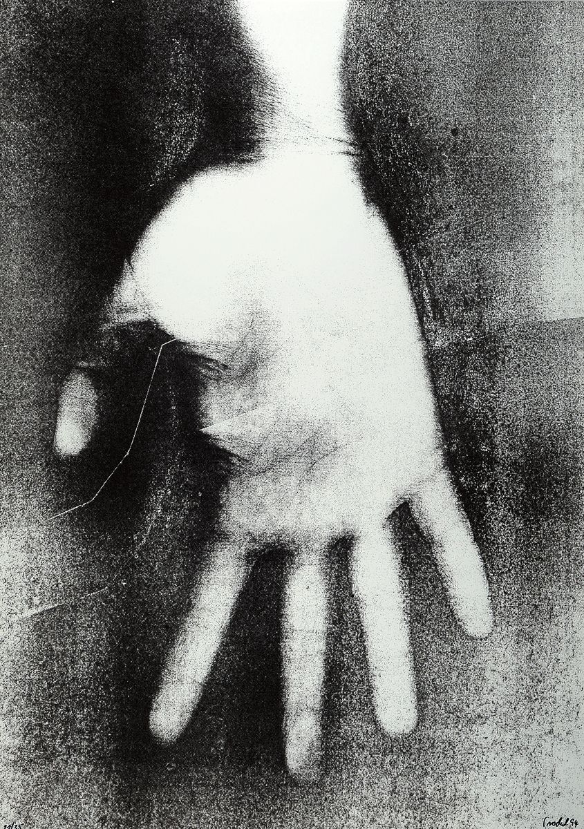 Rosemarie Trockel, geb. 1952, Projekt Flagge zeigen, 1994, Siebdruck, num. 21/35, handsigniert und dat., 84 x 59.5 cm, Rahmen ca. 108 x 77 cm