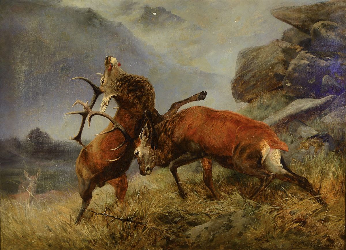 Louis Henry Weston Klingender, 1861 Liverpool - 1950 in Gb., Brunftzeit, kämpfende Hirsche, Waldgebirgslandschaft in den Kampf hineingezogen, Bild ...