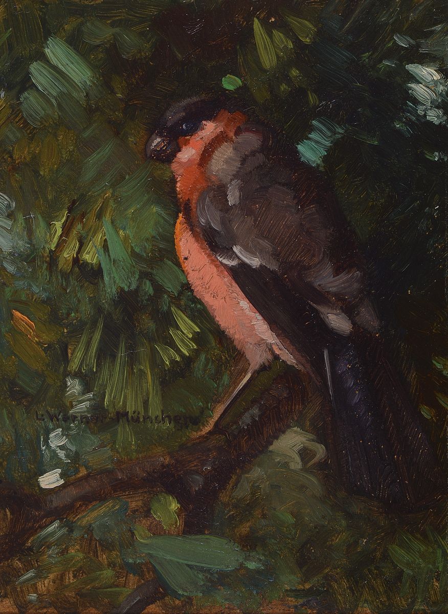 Detail a: Ludwig Werner, Münchener Maler, um 1900, 2 Pendants: Dompfaff im Geäst, und Finken im Geäst, Öl/Malkarton, rechts unten signiert, ca. 21x15cm, R. ...