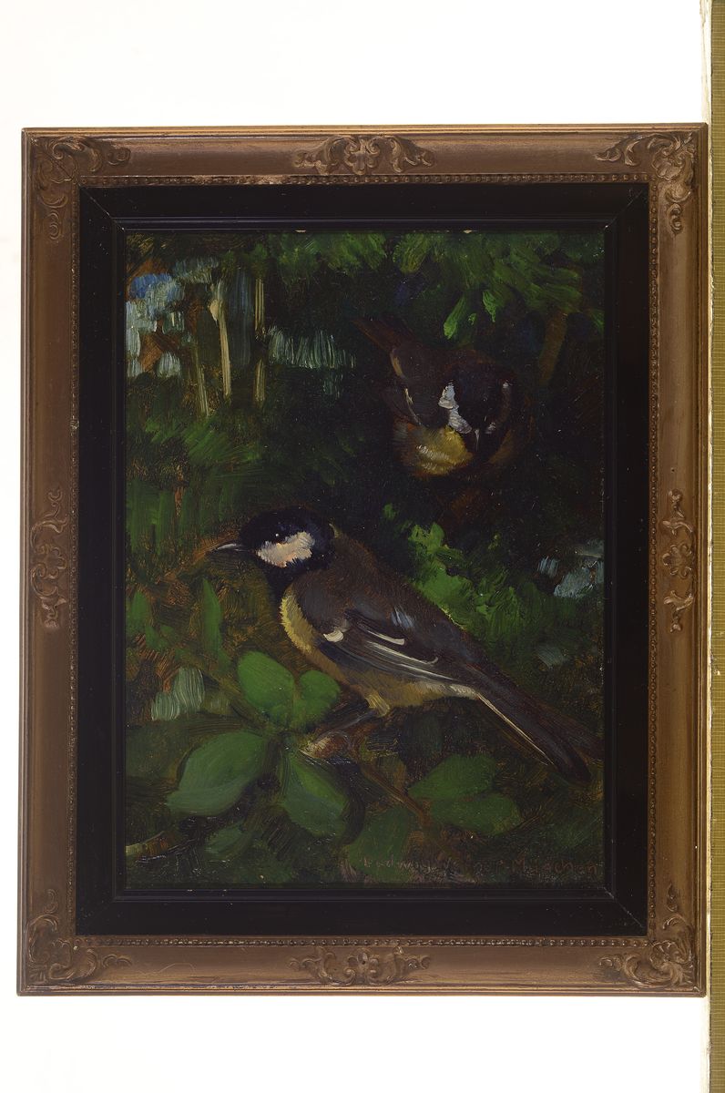 Detail k: Ludwig Werner, Münchener Maler, um 1900, 2 Pendants: Dompfaff im Geäst, und Finken im Geäst, Öl/Malkarton, rechts unten signiert, ca. 21x15cm, R. ...