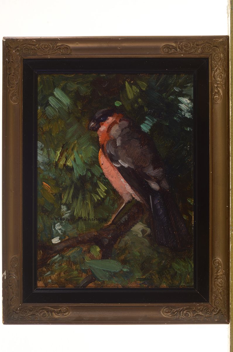 Detail l: Ludwig Werner, Münchener Maler, um 1900, 2 Pendants: Dompfaff im Geäst, und Finken im Geäst, Öl/Malkarton, rechts unten signiert, ca. 21x15cm, R. ...