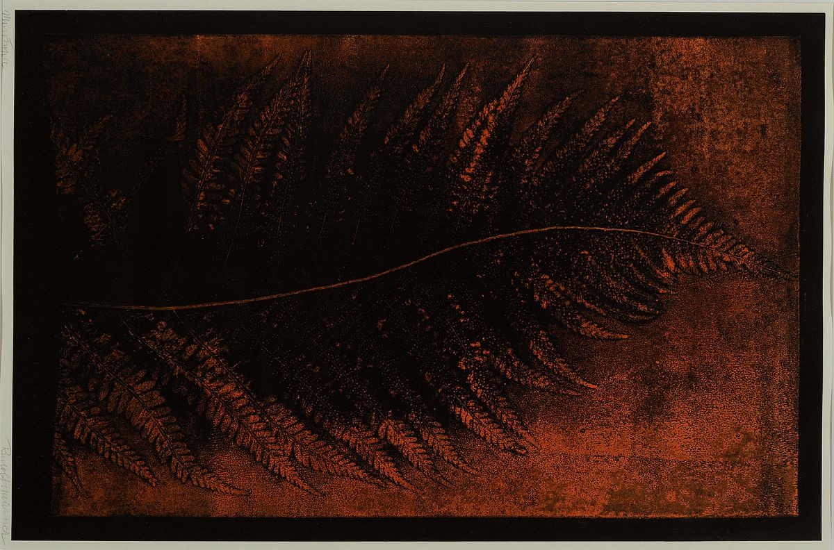 Rudolf Hausner, 1914-1995, " Monotypie ", Farnblatt, handsign., unter Glas gerahmt, Motiv ca. 47x30, gesamt ca. 61x45 cm
