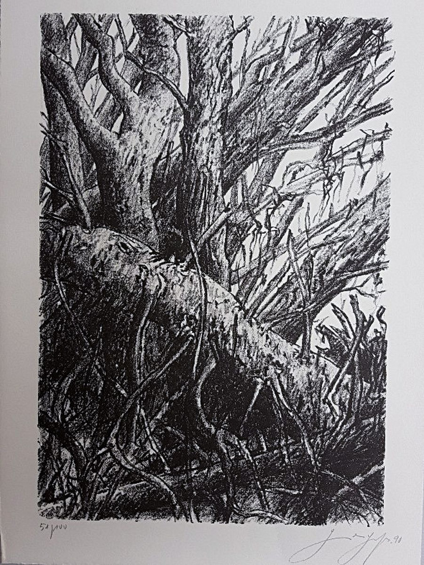 Detail k: Mappe: zwei mal drei, mit 6 Grafiken versch. Künstler, Lithografien von Dieter Goltsche, Ronald Paris, Rainer schwarz, Radierung von Günter Grass, ...