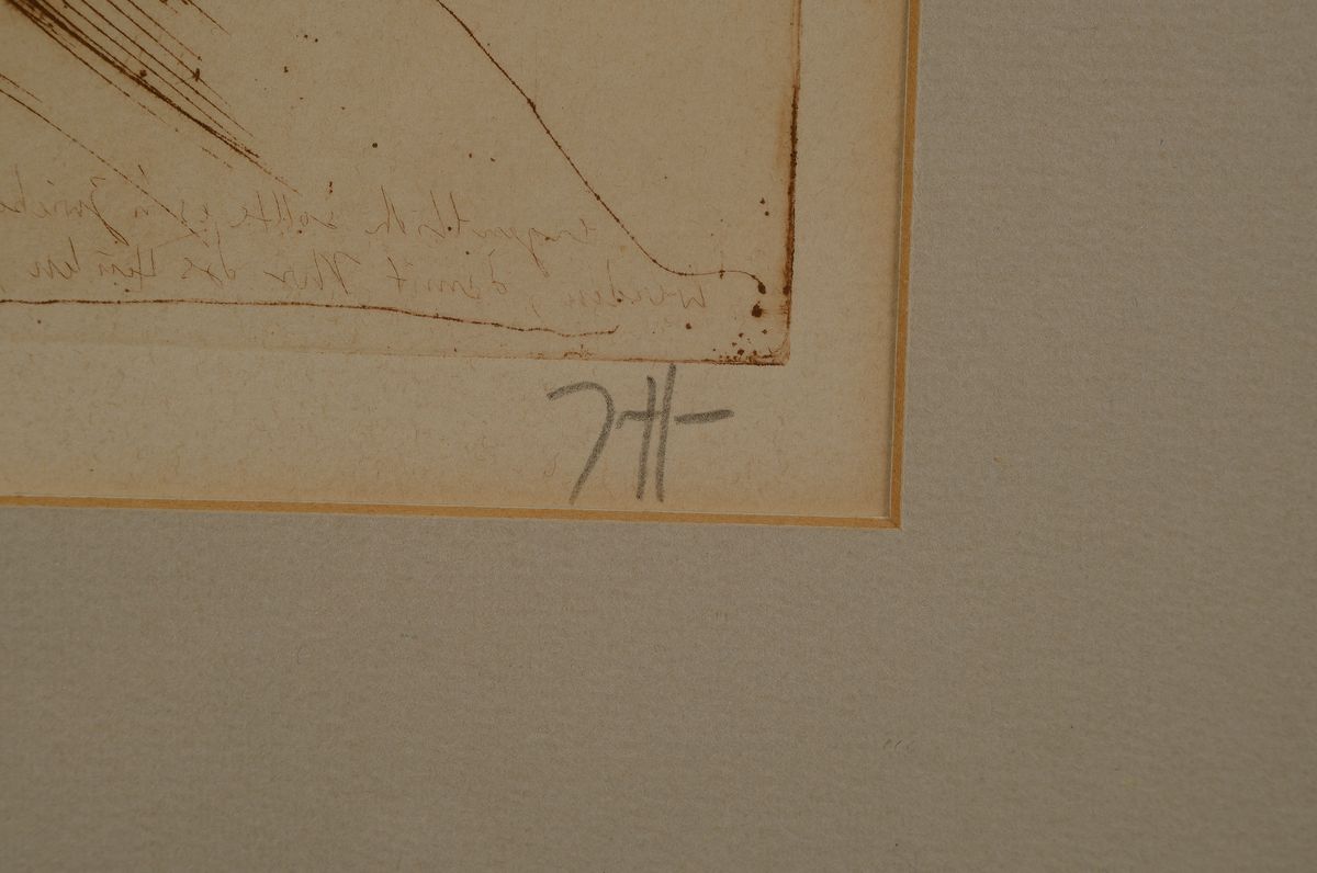 Detail b: Horst Janssen, 1929-1995, Konvolut aus 2 Radierungen, je sign., eins davon dat. und num. 4/100, beide unter Glas, Platte ca. 29x19 cm, gesamt ca. ...