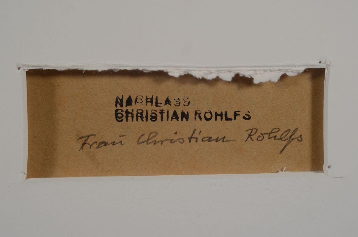Detail a: Christian Rohlfs, 1849 - 1938, Farbkreide auf bräunlichen Papier, Blattgr. 25 x 35 cm, verso unten re. Nachlassstempel, sowie darunter Bestätigung ...