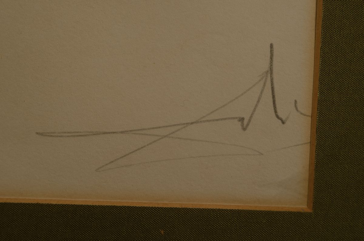 Detail a: Salvador Dali, 1904-1989, Farblithografie, Erstausgabe, im Passepartout, unter Glas gerahmt, ca.51x71cm/80x60cm