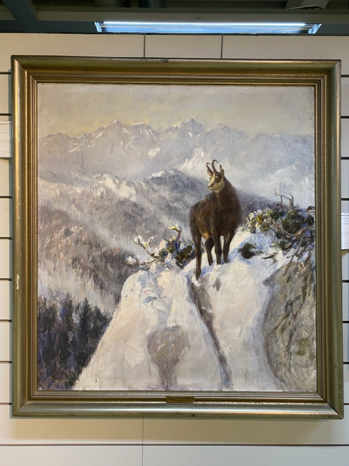 Detail c: Carl Ritter von Dombrowski, 1872 Schloß Ullitz-1952 Obermenzing/München, Gamsbock im verschneiten Hochgebirge, Öl/Lwd, signiert, ca. 110x100cm, R. ...