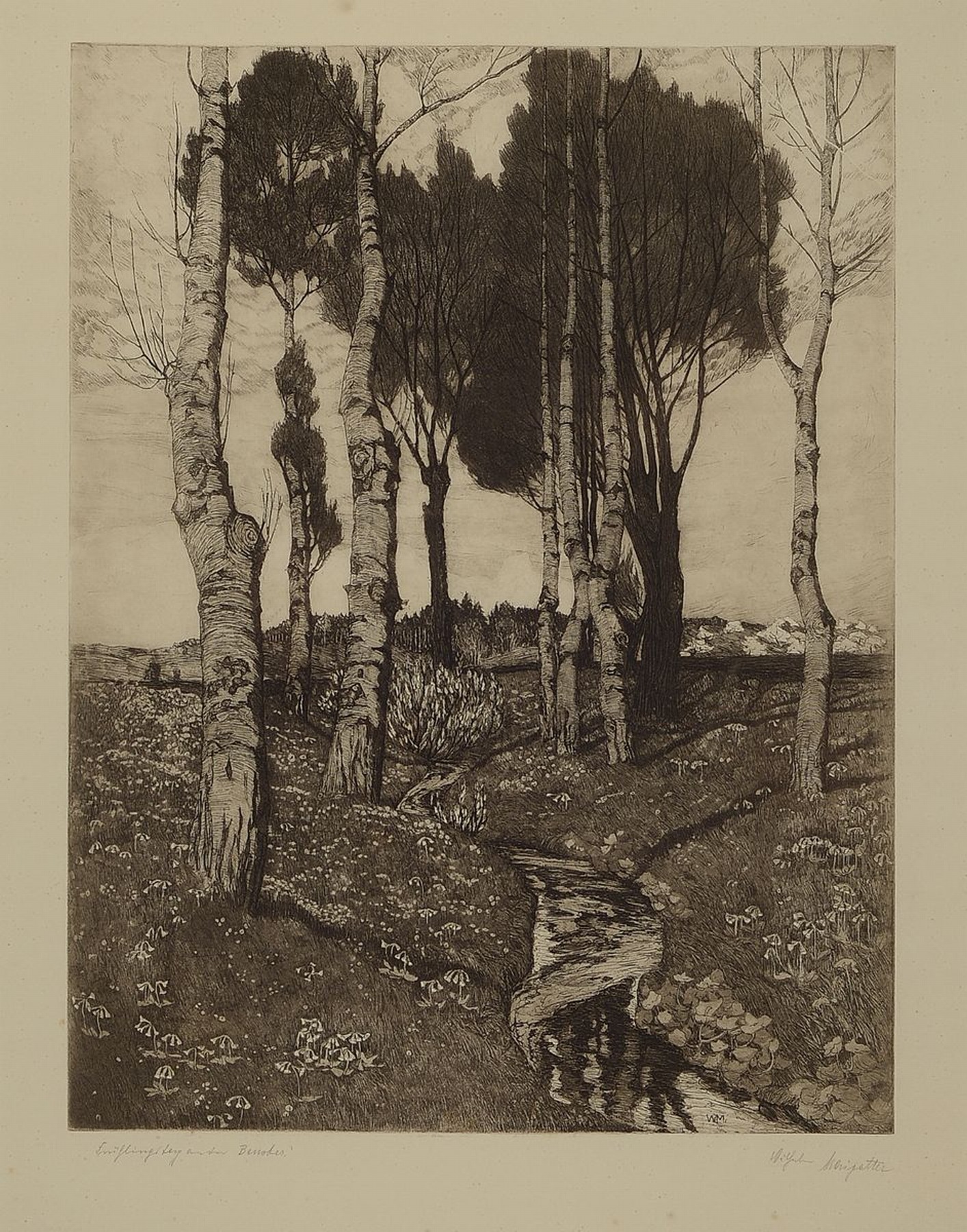 Wilhelm Maigatter, geb. 1865 Hildesheim, Frühlingstag an der Ben..., Radierung, Birken an einem Bachlauf, rechts unten handsigniert, links unten ...