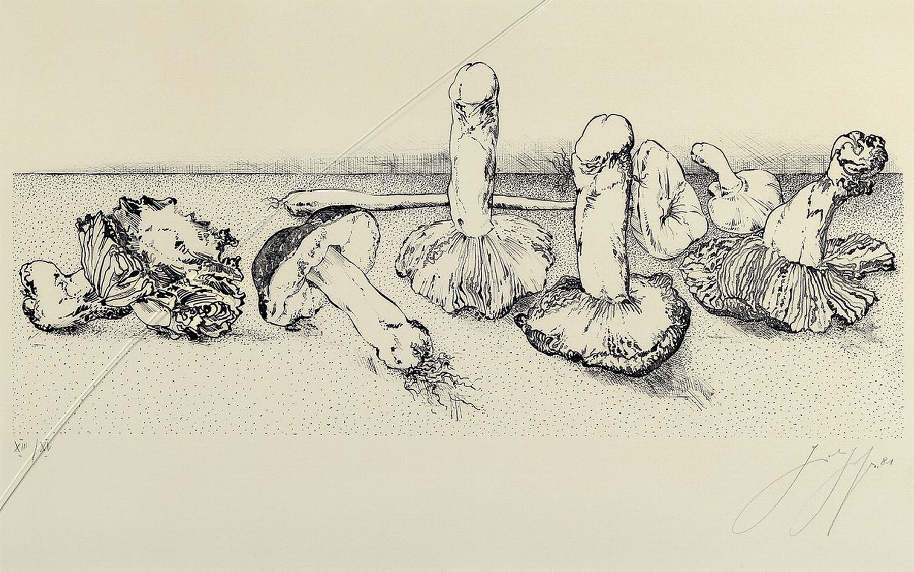Günter Grass, 1927-2015, Pilze, Lithographie von 1981, handsigniert und num. XIII/XV, ca. 30x60cm, PP, u.Gl., R. ca. 60x80cm, Glas mit Sprung