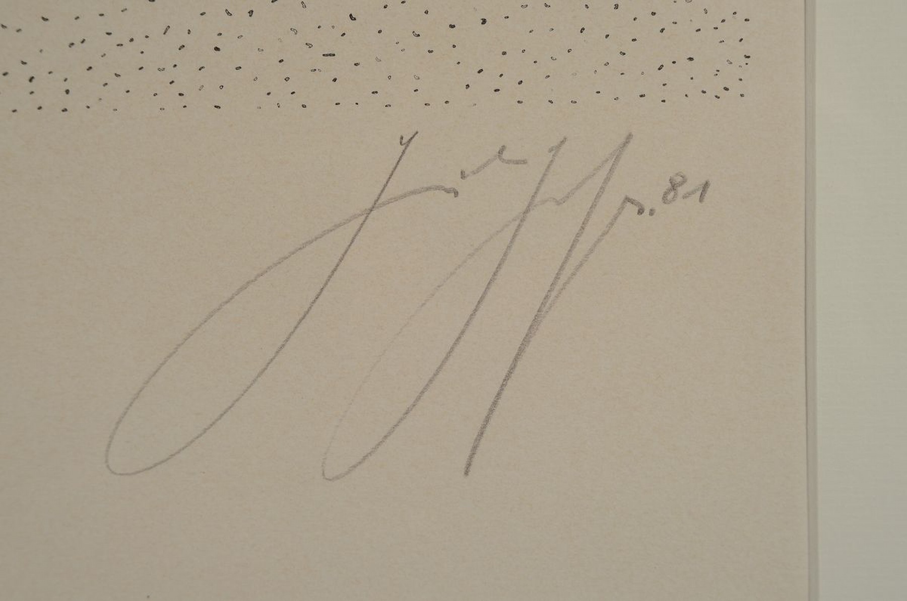 Detail e: Günter Grass, 1927-2015, Pilze, Lithographie von 1981, handsigniert und num. XIII/XV, ca. 30x60cm, PP, u.Gl., R. ca. 60x80cm, Glas mit Sprung
