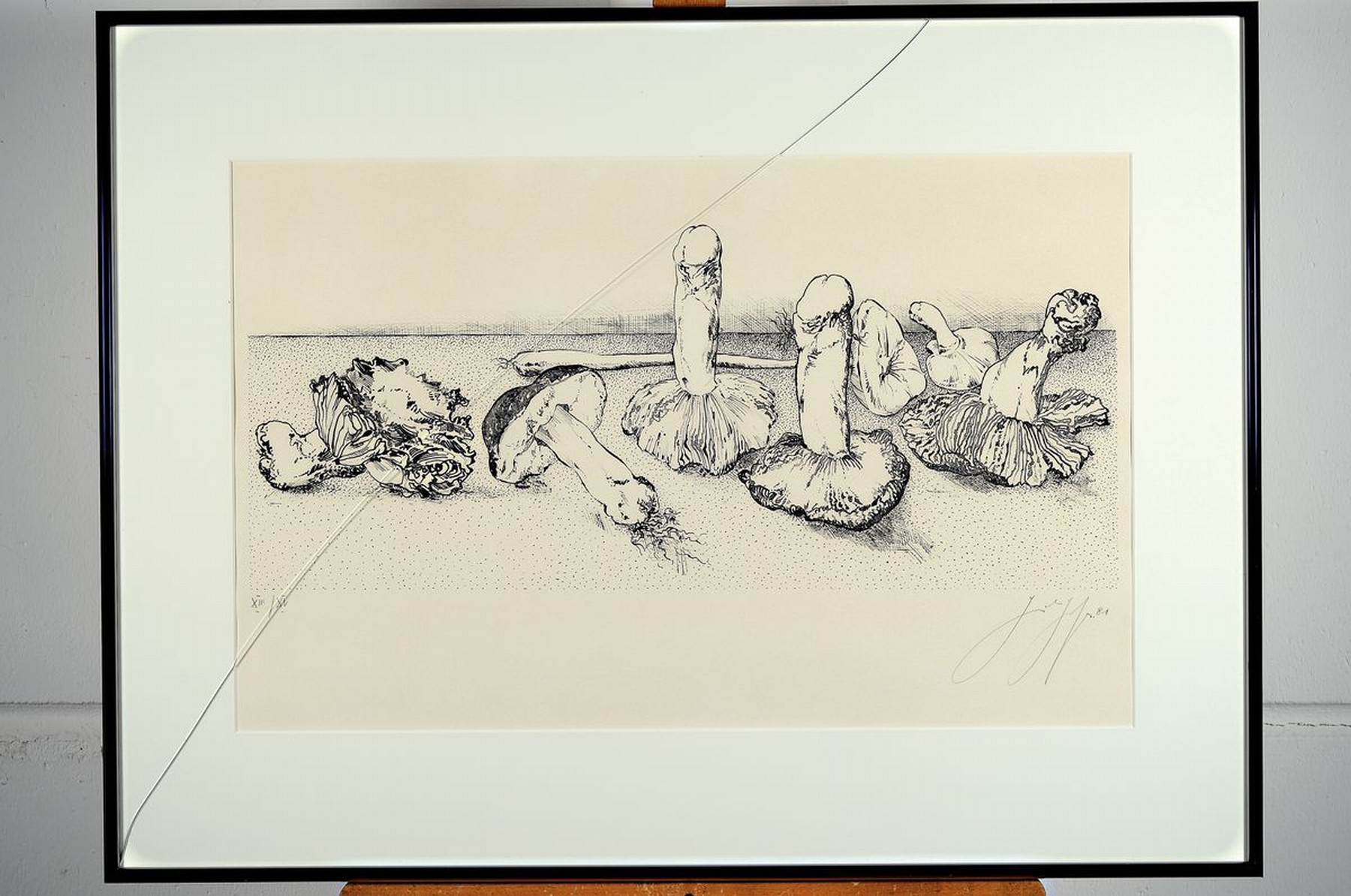 Detail k: Günter Grass, 1927-2015, Pilze, Lithographie von 1981, handsigniert und num. XIII/XV, ca. 30x60cm, PP, u.Gl., R. ca. 60x80cm, Glas mit Sprung
