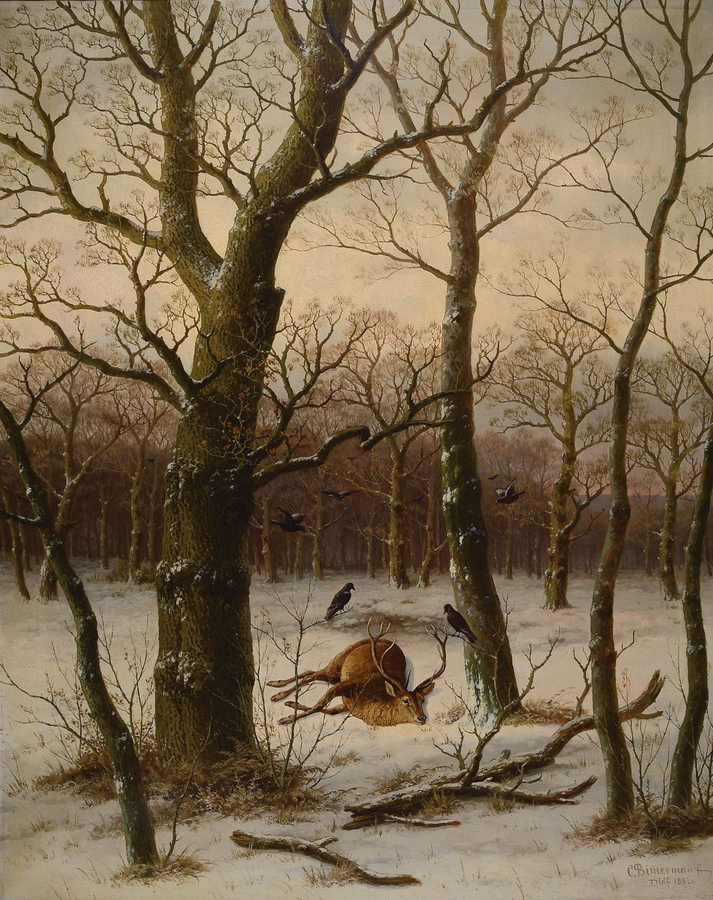 Caesar Bimmermann, 1821 Eupen-1890 Düsseldorf, Schüler des Barend Cornelis Koekkoek, hier: erlegter Hirsch im verschneiten Wald, Öl/Lwd, rechts ...