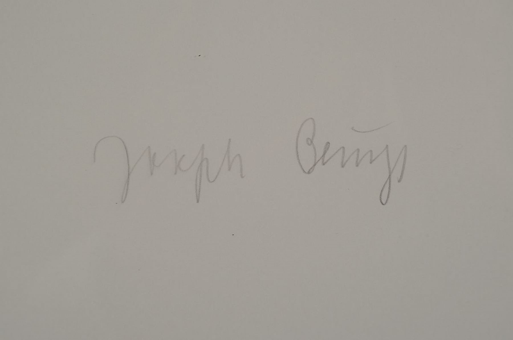 Detail a: Joseph Beuys 1921 - 1986, Siebdruck auf Karton, handsigniert, aus 1980, ca. 86 x 60.7 cm, WVZ Schellmann 326-28 107 x 77 cm, unter Glas, Rahmen