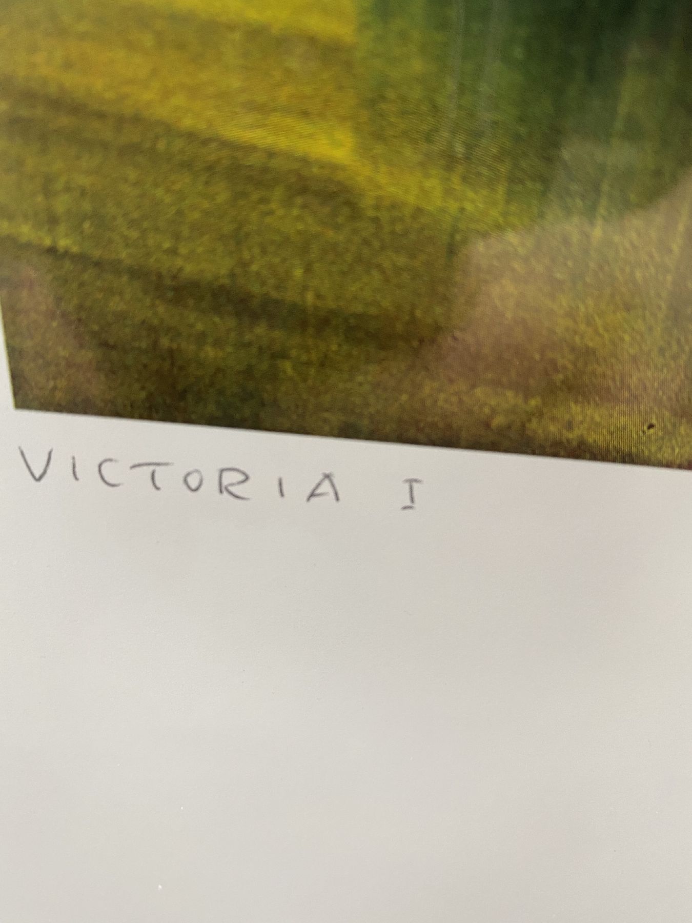 Detail d: Gerhard Richter, geb. 1932, Viktoria I, Farboffset auf Karton, Drucksignatur, Edition Achenbach Art Edition Düsseldorf, ca. 80 x 60 cm, unter Glas, ...