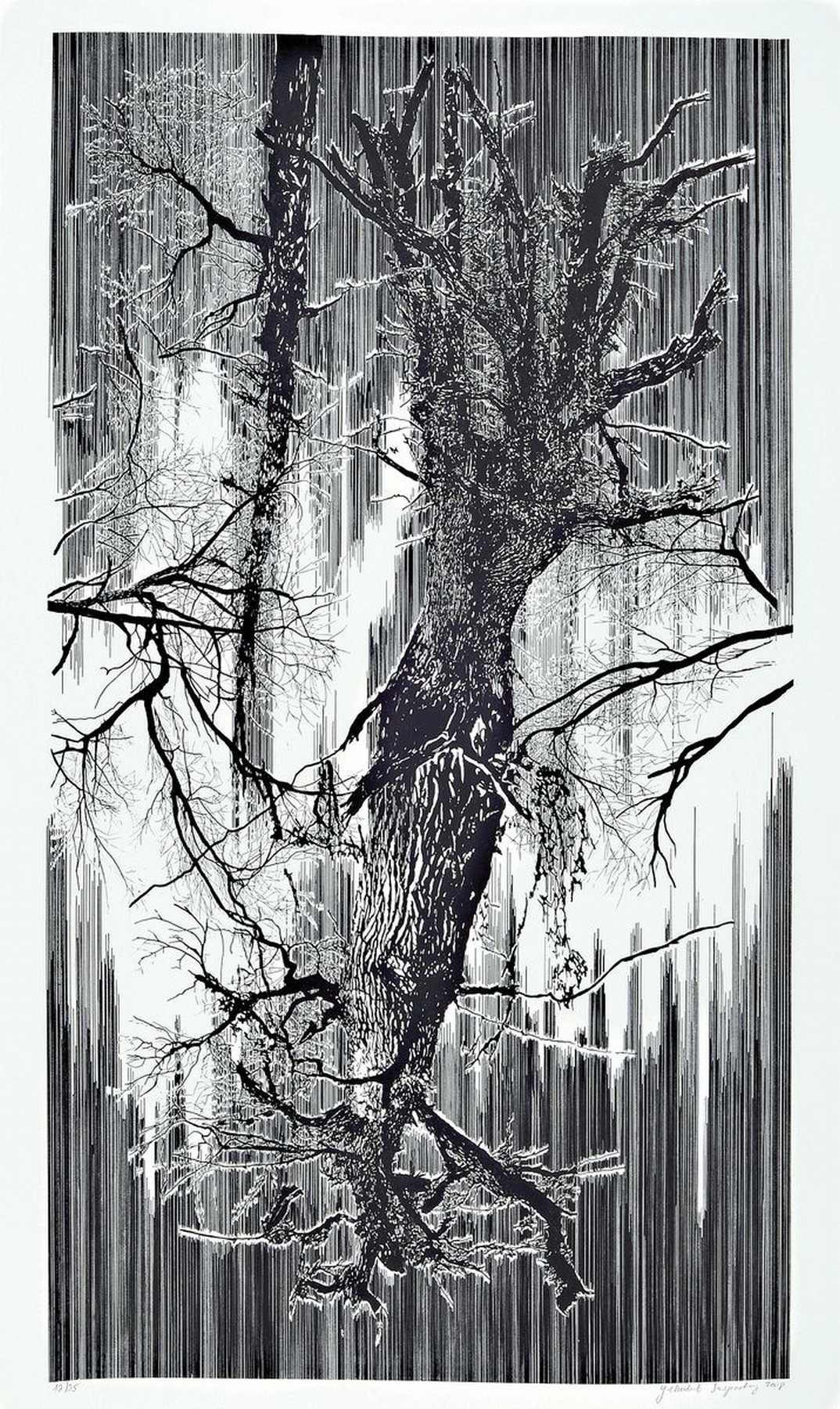 Yehudit Sasportas, geb. 1969, von 2008, Lithografie auf dicken Velin, handsigniert, num. 12/35, Blattgröße 103.5 x 66.5 cm, unter Glas, Rahmen