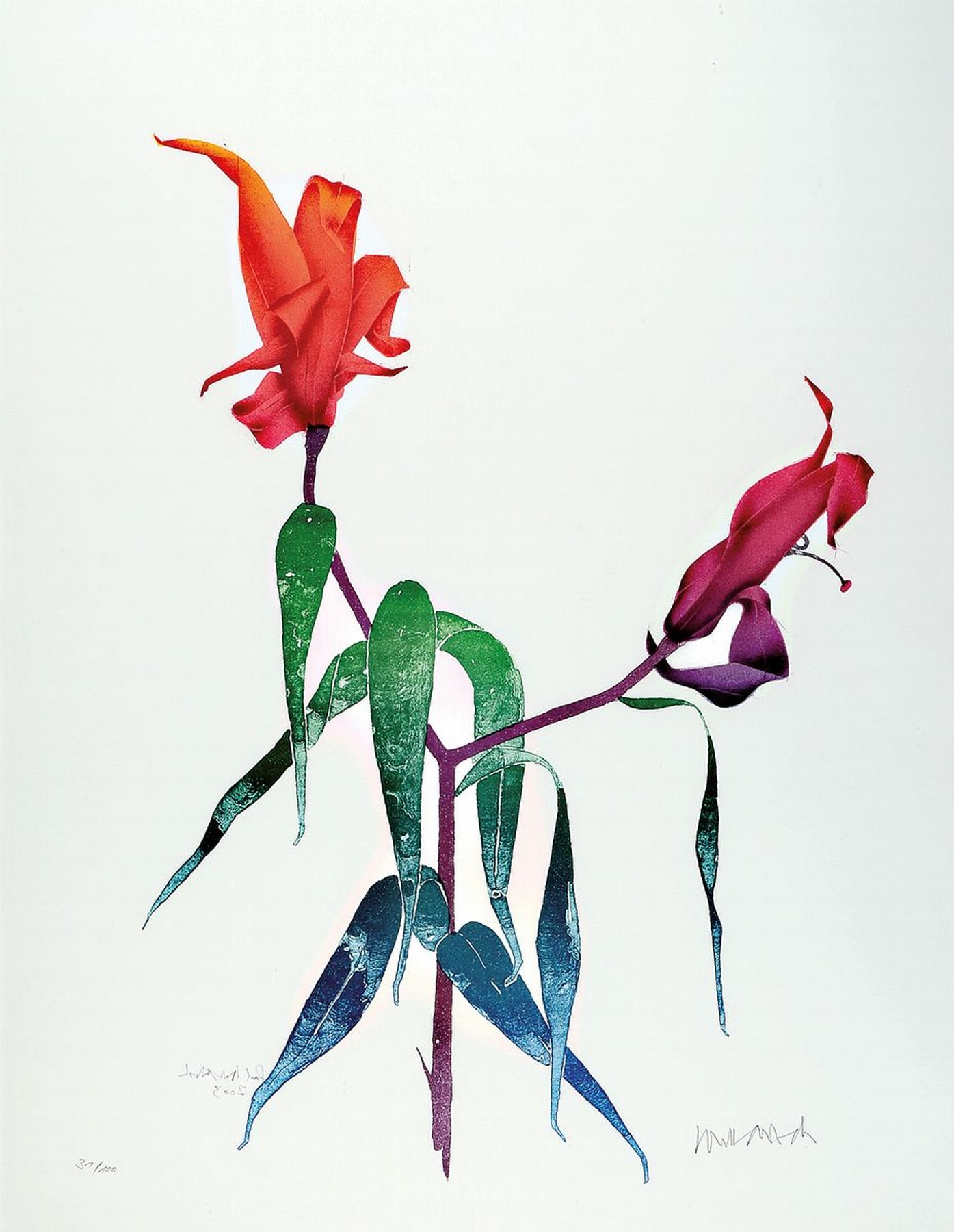 Paul Wunderlich, 1927 Eberswalde-2010 Saint- Pierre de Vassols, 2 großformatige Farblithographien: Rote Lilien und Mutters Lieblingsblumen, 2001 ...