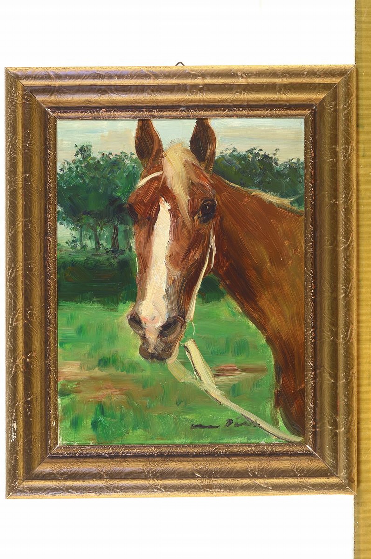 Detail k: Otto Dill, 1884 Neustadt-1957 Bad Dürkheim, Pferdekopf, Öl/Holz, rechts unten signiert, ca. 40x30cm, R. ca. 52x42cm