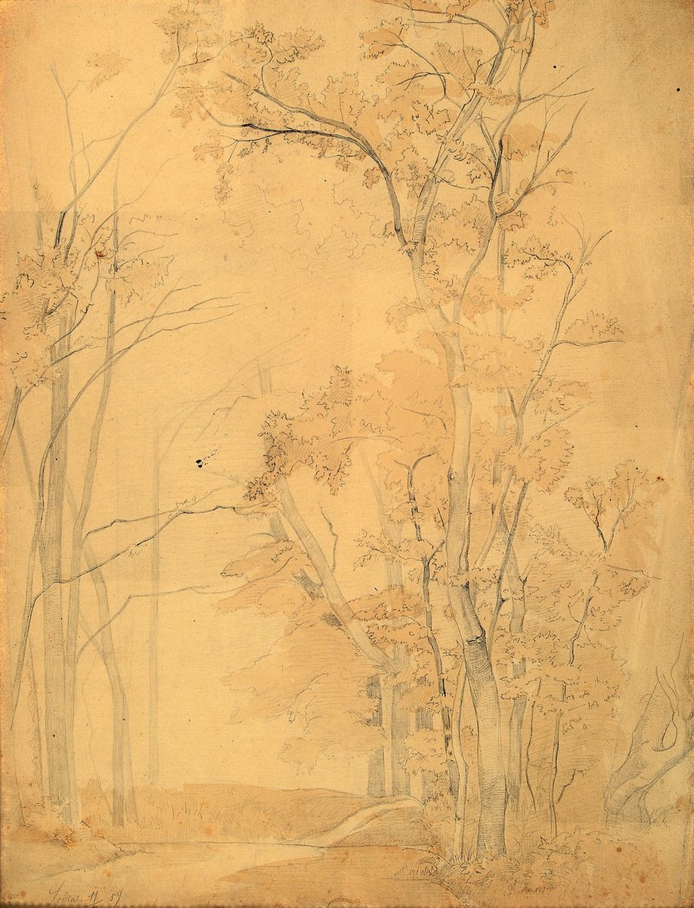 Heinrich Deiters, 1840 Münster-1916 Düsseldorf, Studium an der Akademie Düsseldorf, beeinflußt von Andreas und Oswald Achenbach, hier: Waldpartie ...
