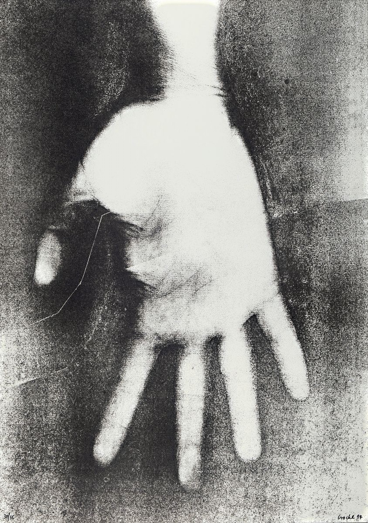 Rosemarie Trockel, geb. 1952, Projekt Flagge zeigen, 1994, Siebdruck, 30/35, handsigniert, dat. 94, 84 x 59.5 cm, Rahmen: 87 x 63 cm