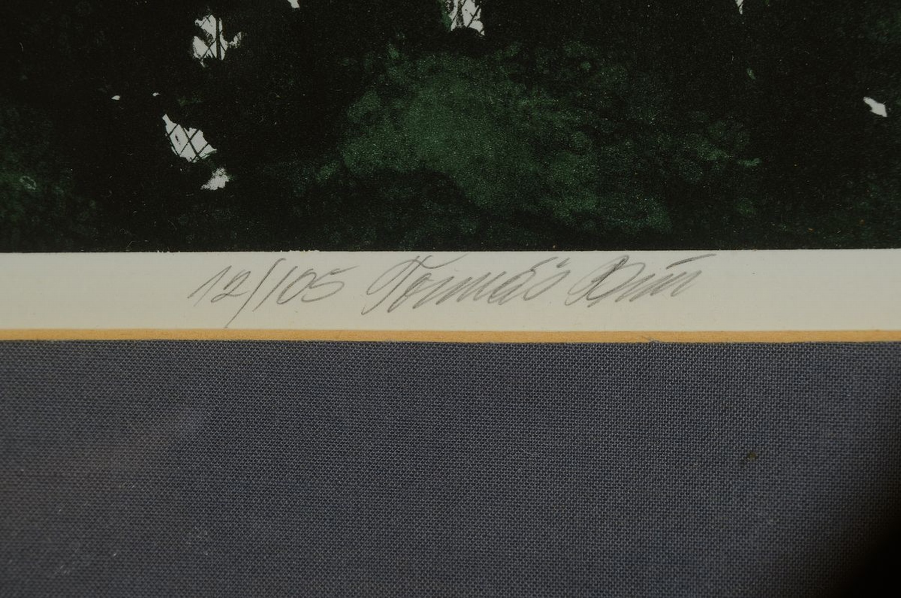 Detail k: Tomas Bim, geb. 1946, zeitgen. Prager Künstler, Konvolut aus 4 Farblithografien, je handsign., je num. unter Glas gerahmt, gesamt je ca. 38x31 cm