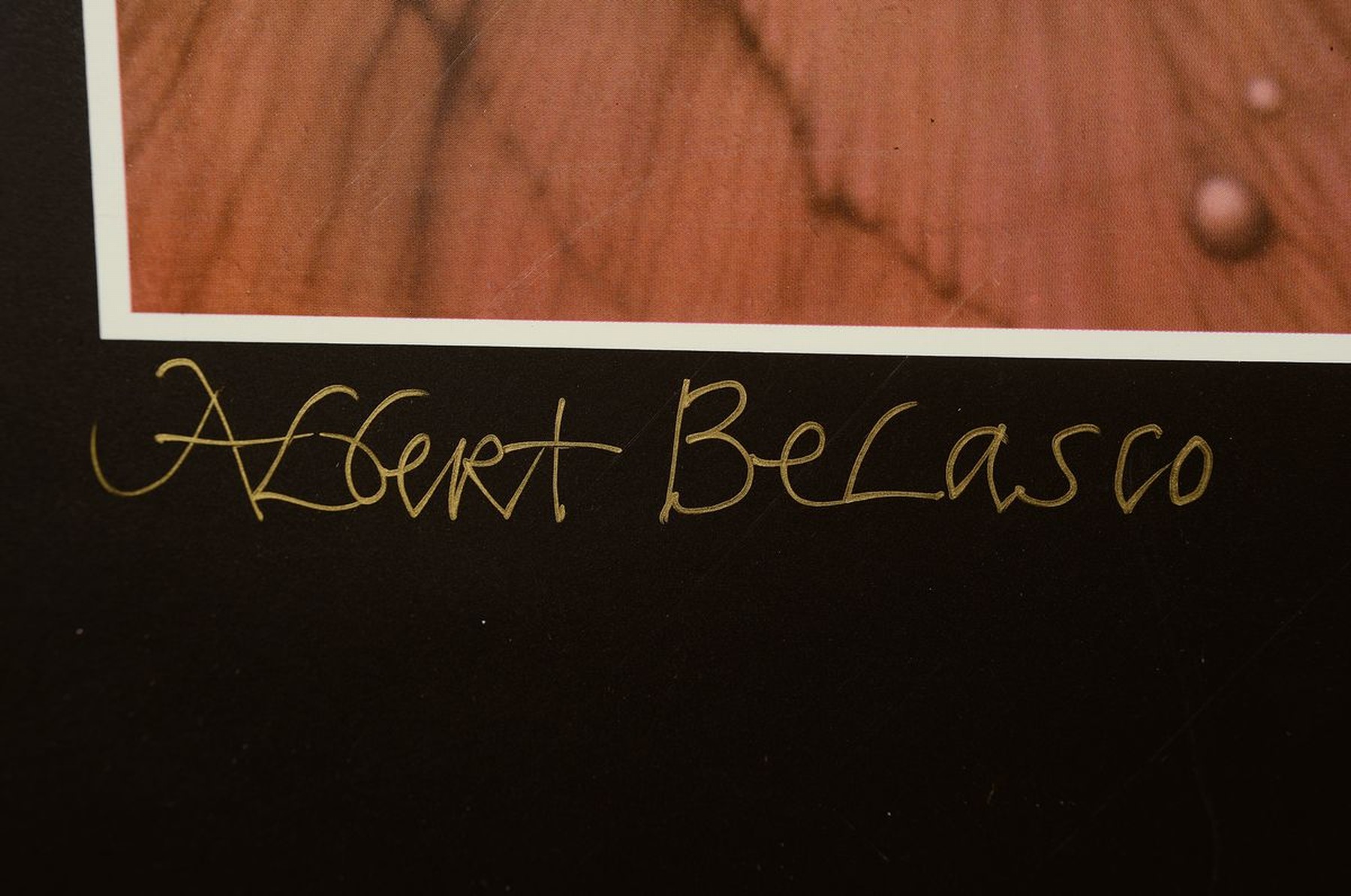 Detail g: Albert Belasco, geb. 1938, viele Jahre in Baden Baden ansässig, drei Offsets und eine lim. Grafik, diese num. 13/500, versch. Darstellungen u.a. ...