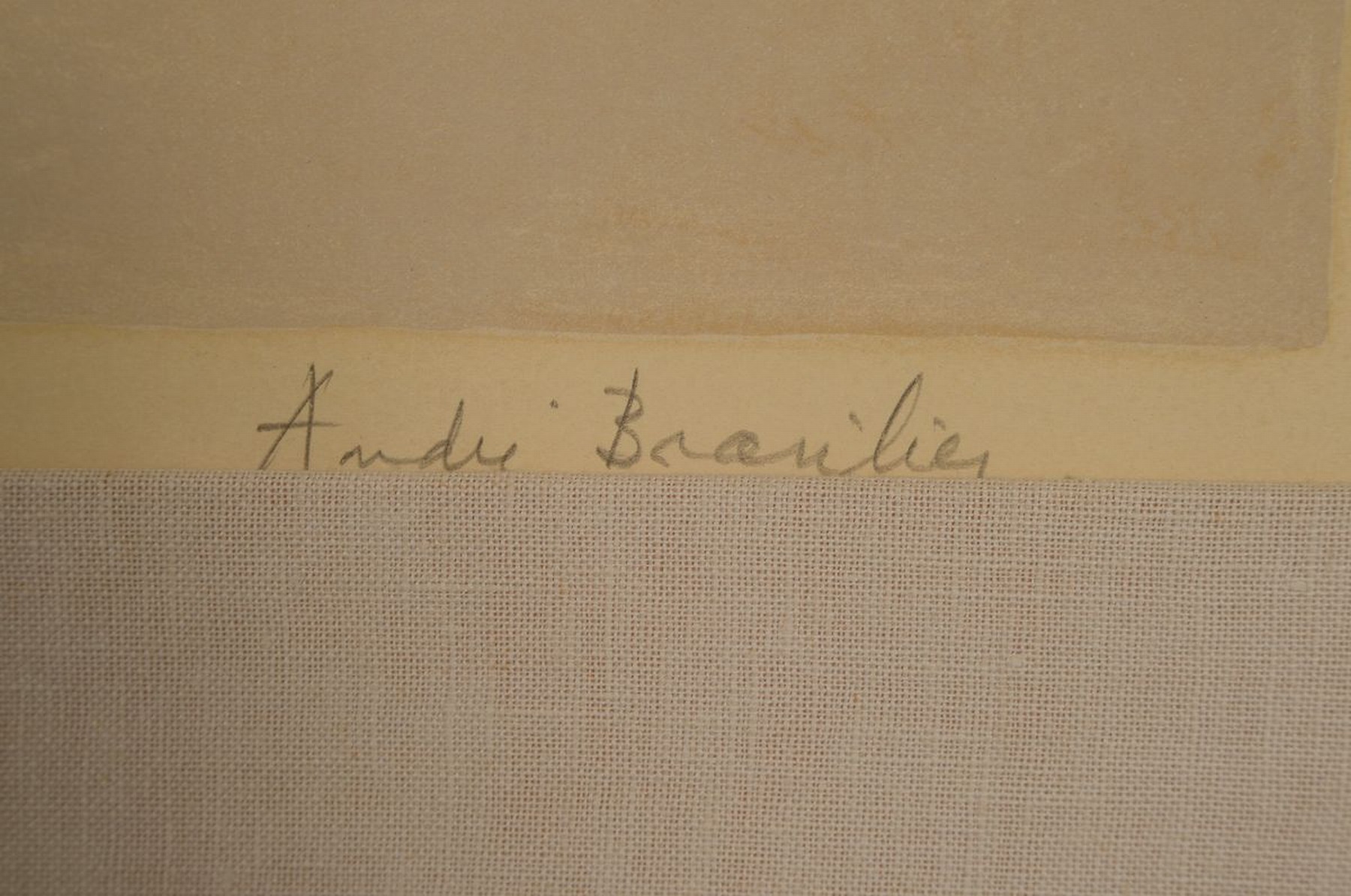 Detail a: Andre Brasilier, geb. 1929, Farblithografie, rechts unten sign., unter Glas gerahmt, gesamt ca. 85x70 cm