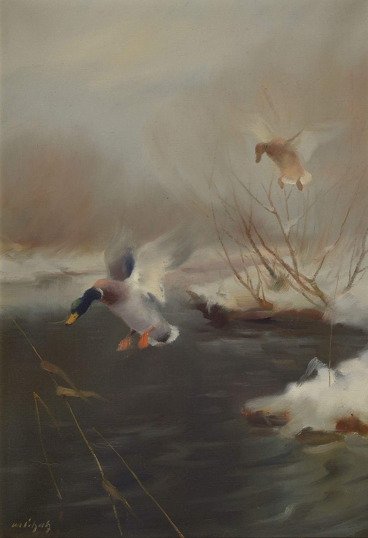 Manfred Schatz, 1925 Stettiner Haff-2004 Meerbusch, Auffliegende Enten über dem Moor, Öl/Lwd, sign., ca. 100x72cm, R. ca. 116x88cm