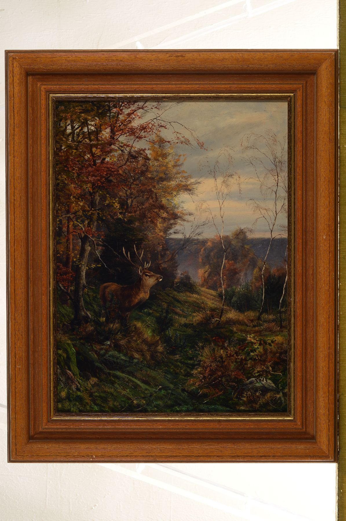 Unbekannter Künstler, um 1900, Hirsch am Waldrand, Öl/Lwd, qualitätvolle detailreiche Malerei, ca. 40x30cm, R. ca. 50x40cm