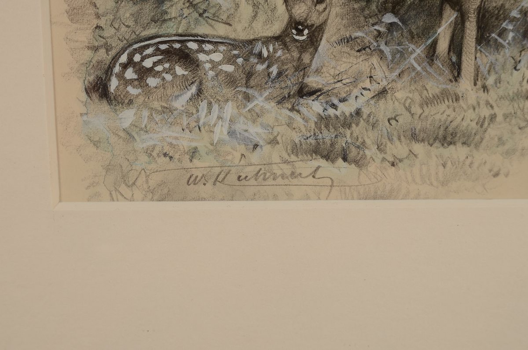 Detail a: Wilhelm Kuhnert, 1865 Oppeln-1926 Flims, Ricke mit Kitz, Bleistiftzeichnung mit Aquarell und Deckweiß koloriert, ca. 20x20cm, PP, u.Gl., R. ca. ...