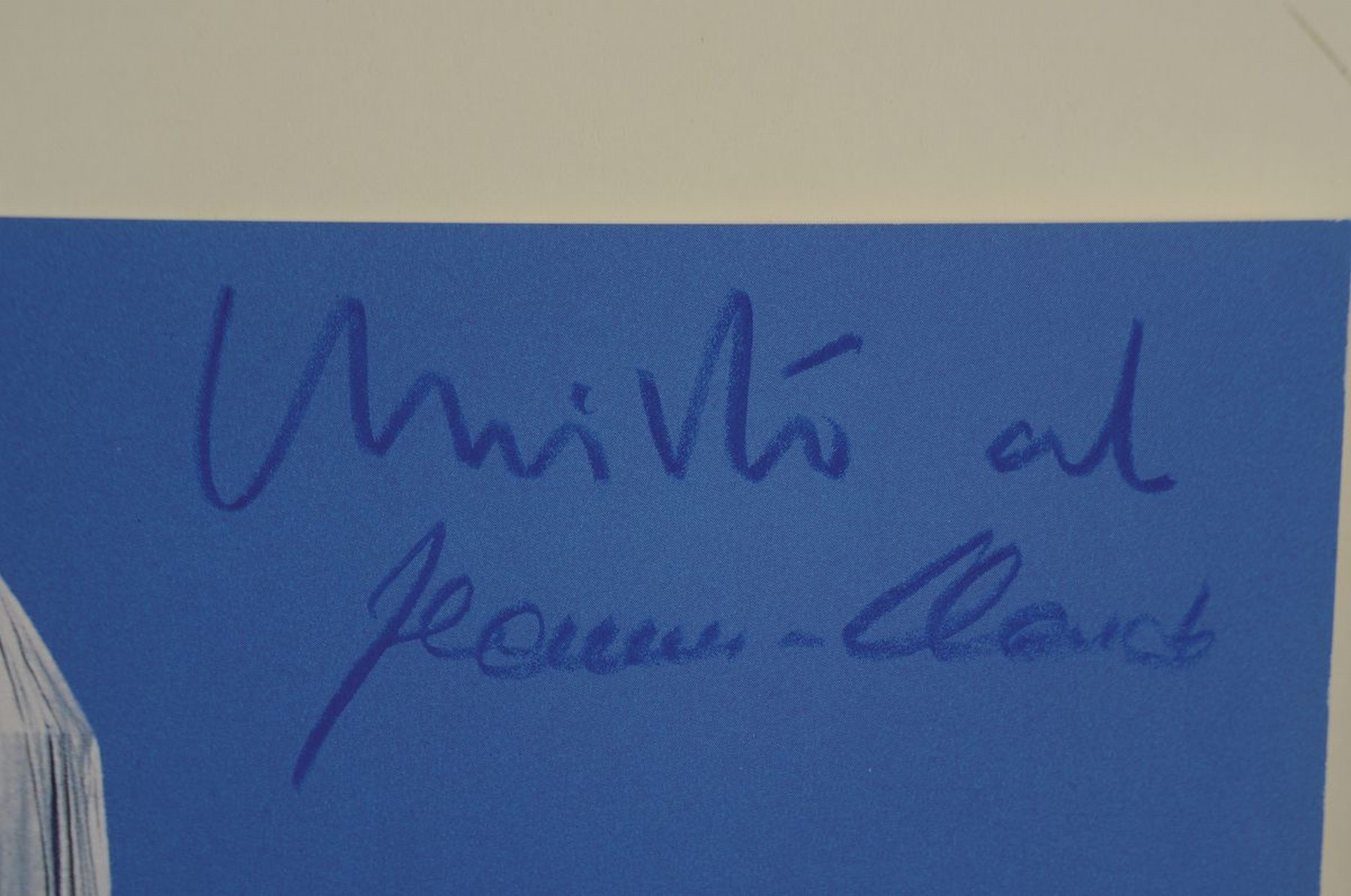 Detail a: Christo und Jeanne-Claude, Wrapped Reichstag mit der Quadriga, Fotografie, Photo:Wolfgang Volz, von beiden Künstlern handsigniert, ca .40x30 cm