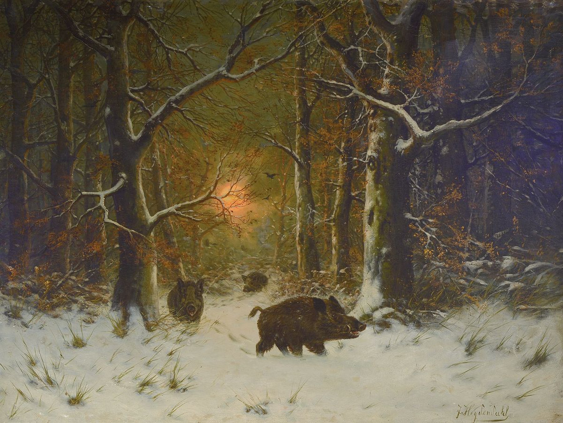 Joseph F. Heydendahl, 1844-1906 Düsseldorf, Wildschweinrotte im verschneiten Wald, Abendrot, Öl/Lwd, rechts unten signiert, ca. 95x125cm, R. ca. ...