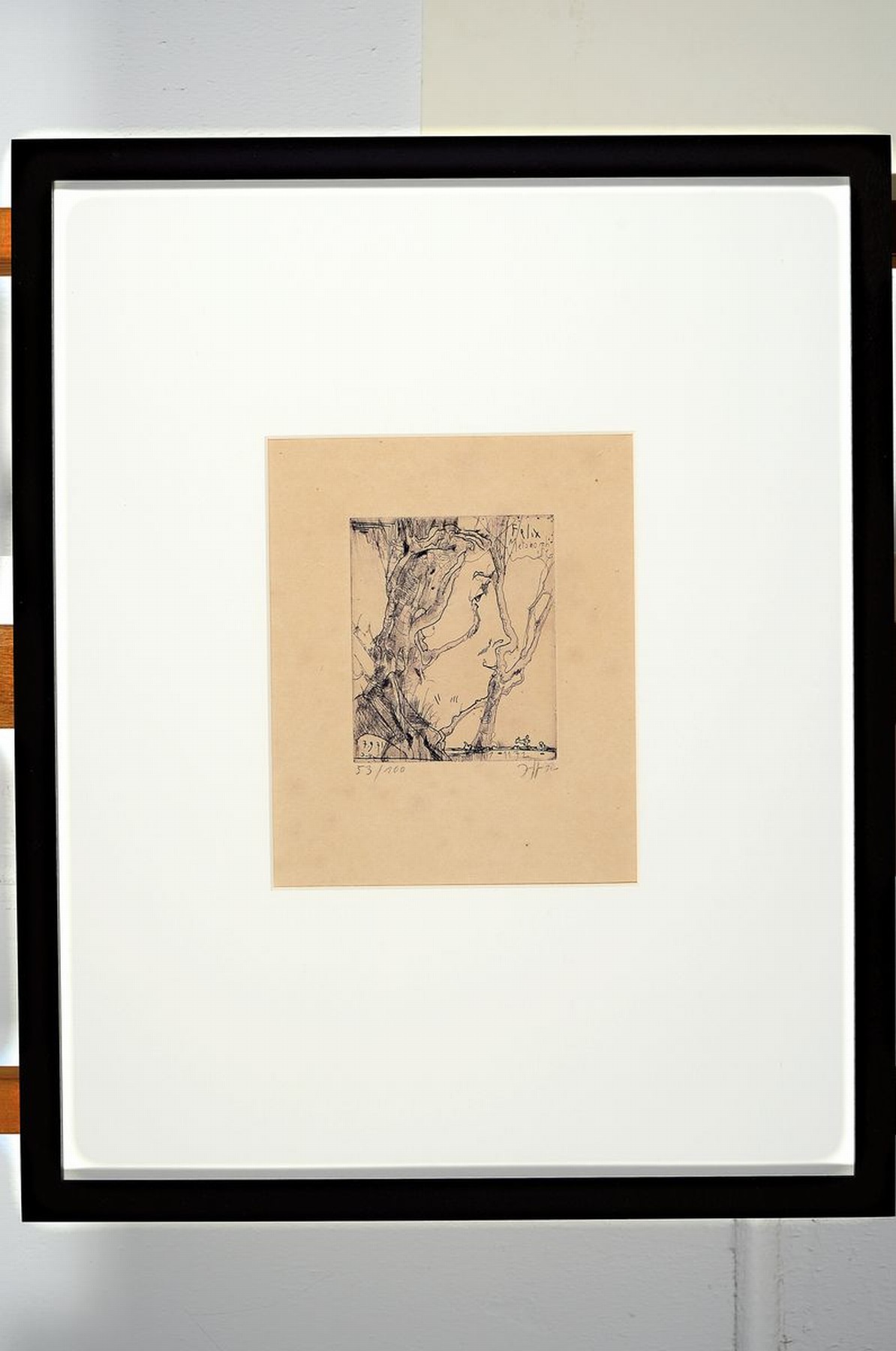 Detail k: Horst Jansen, 1929 - 1995, Radierung, "Felix Metamorphose", seltenes Blatt, handsigniert, num. 53/100, Blattgr. 30.5 x 23.5 cm, Rahmen 53 x ...