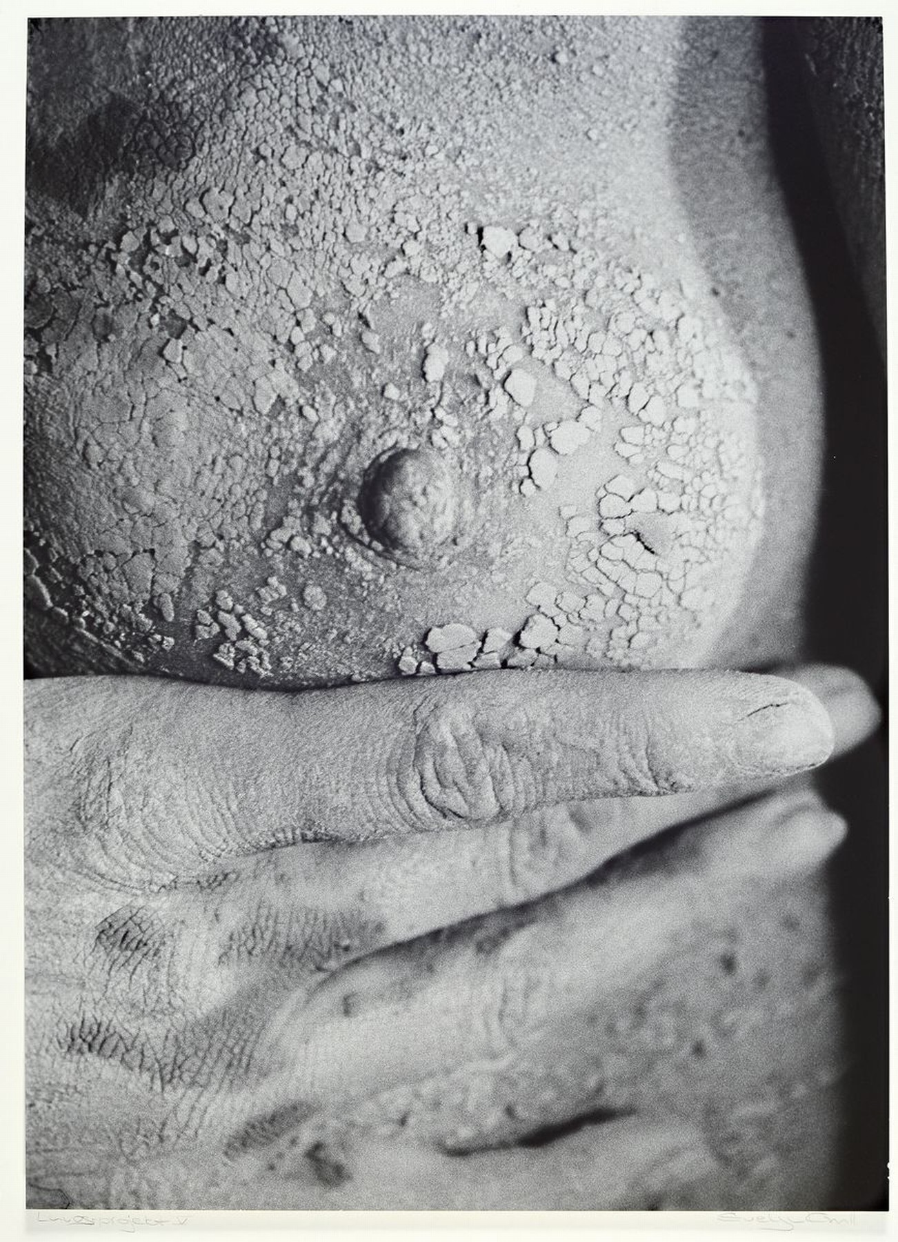 Evelyn Krull, geb. 1942 in Breslau, Fotografinund Publizistin, tätig in Dresden, "Luvosprojekt V", Fotografie auf PP., dieser signiert und ...