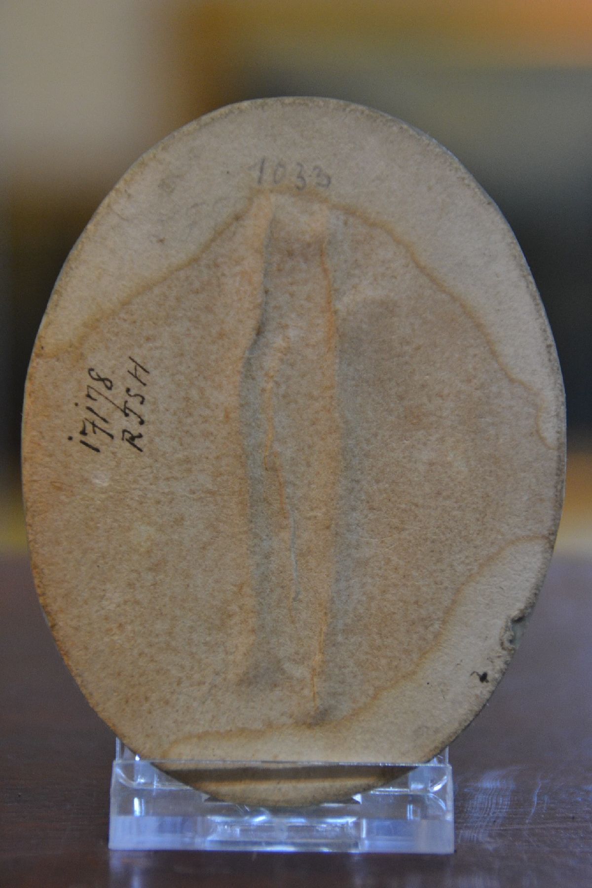 Detail d: Miniaturmalerei, deutsch, um 1830/40, Damenporträt, Gouachemalerei auf Elfenbein, ca. 8.5x6.5 cm, unter Glas, Rahmen, kein Versand außerhalb der EU