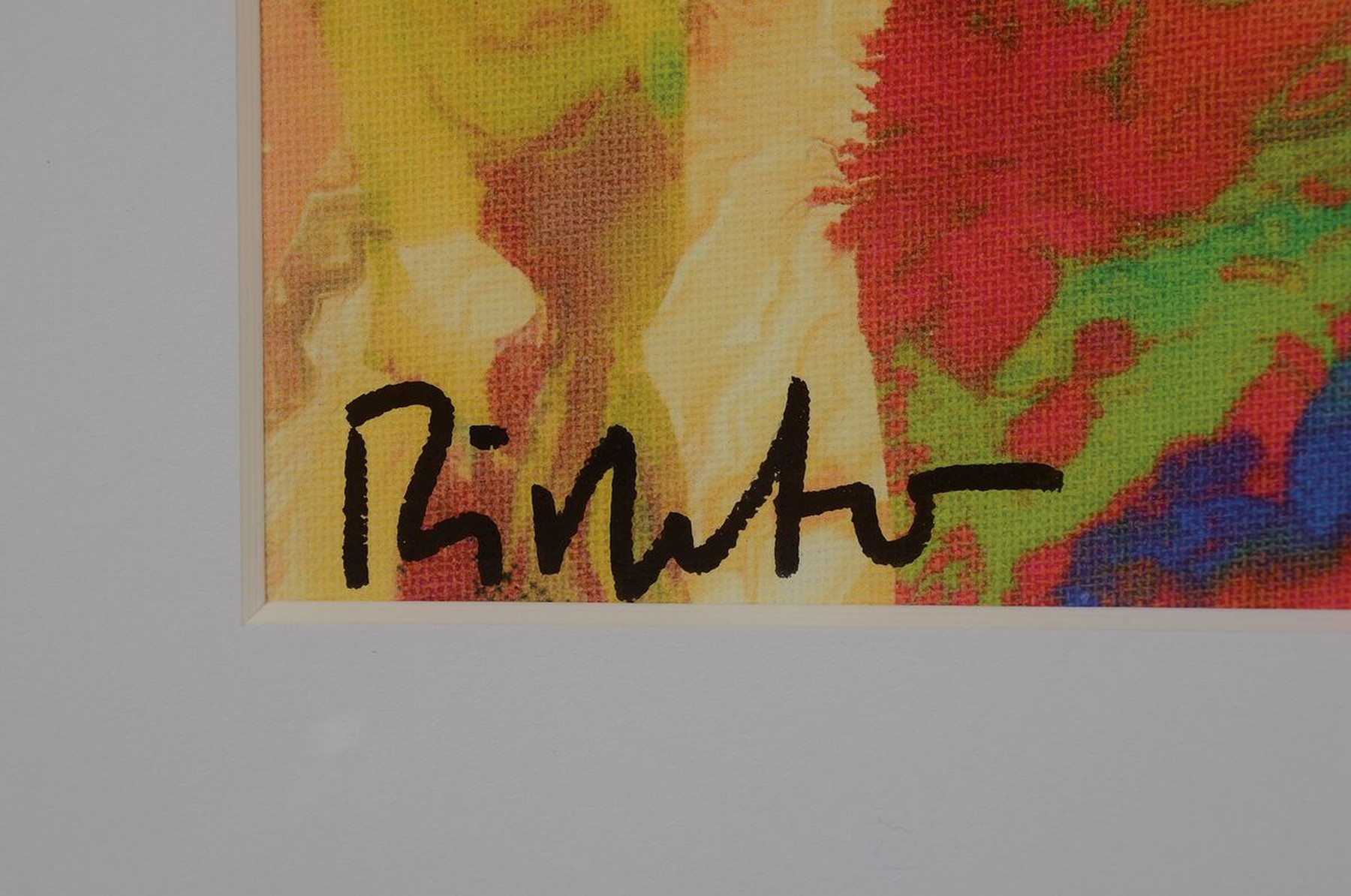 Detail a: Gerhard Richter, geb. 1932, Giclee-Druck, handsigniert links unten, ca. 25x20cm, PP, u.Gl., R. ca. 42x32cm