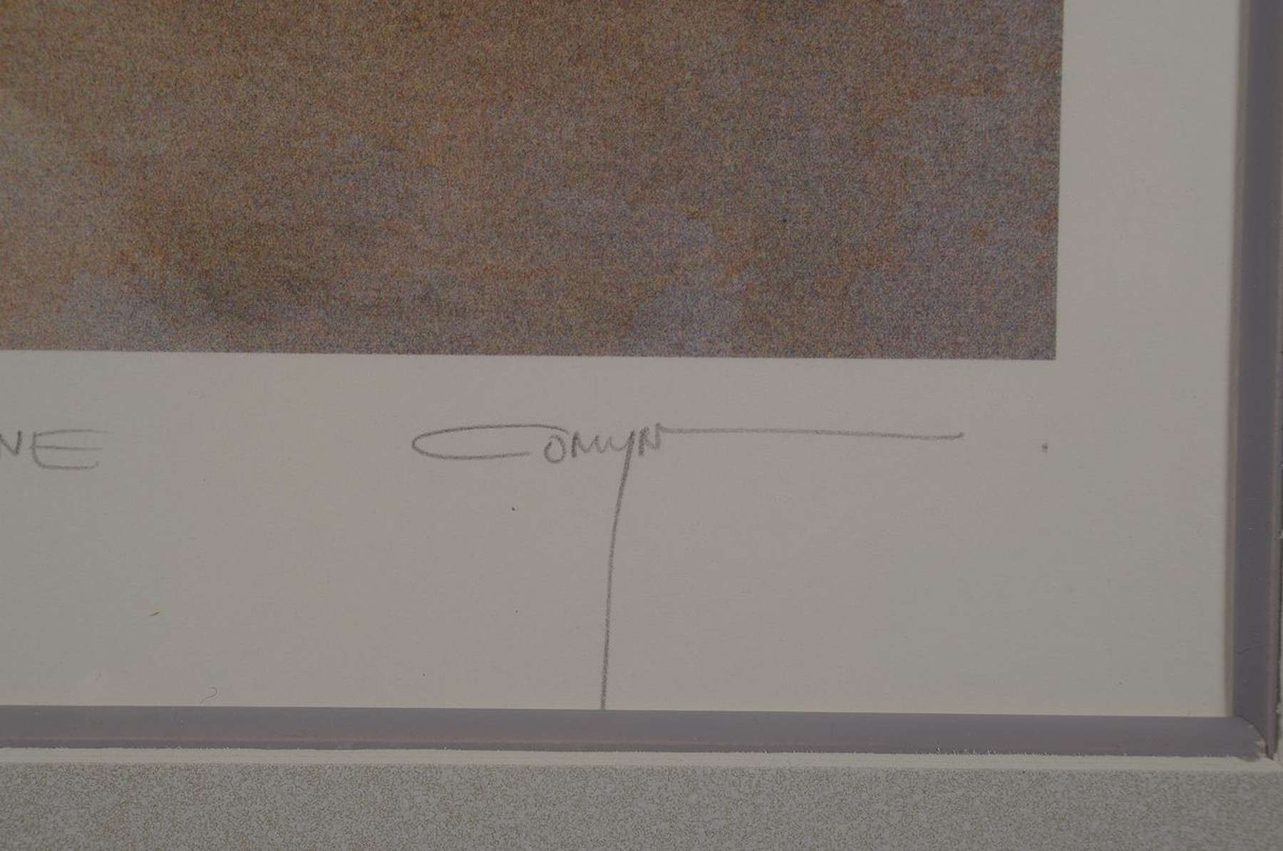 Detail b: Christine Comyn, geb. 1957, 2 Farblithos handsigniert und num. 17/100 bzw. 20/100, je ca. 56x44cm, PP, u.Gl., ähnlich gerahmt ca. 99x84cm