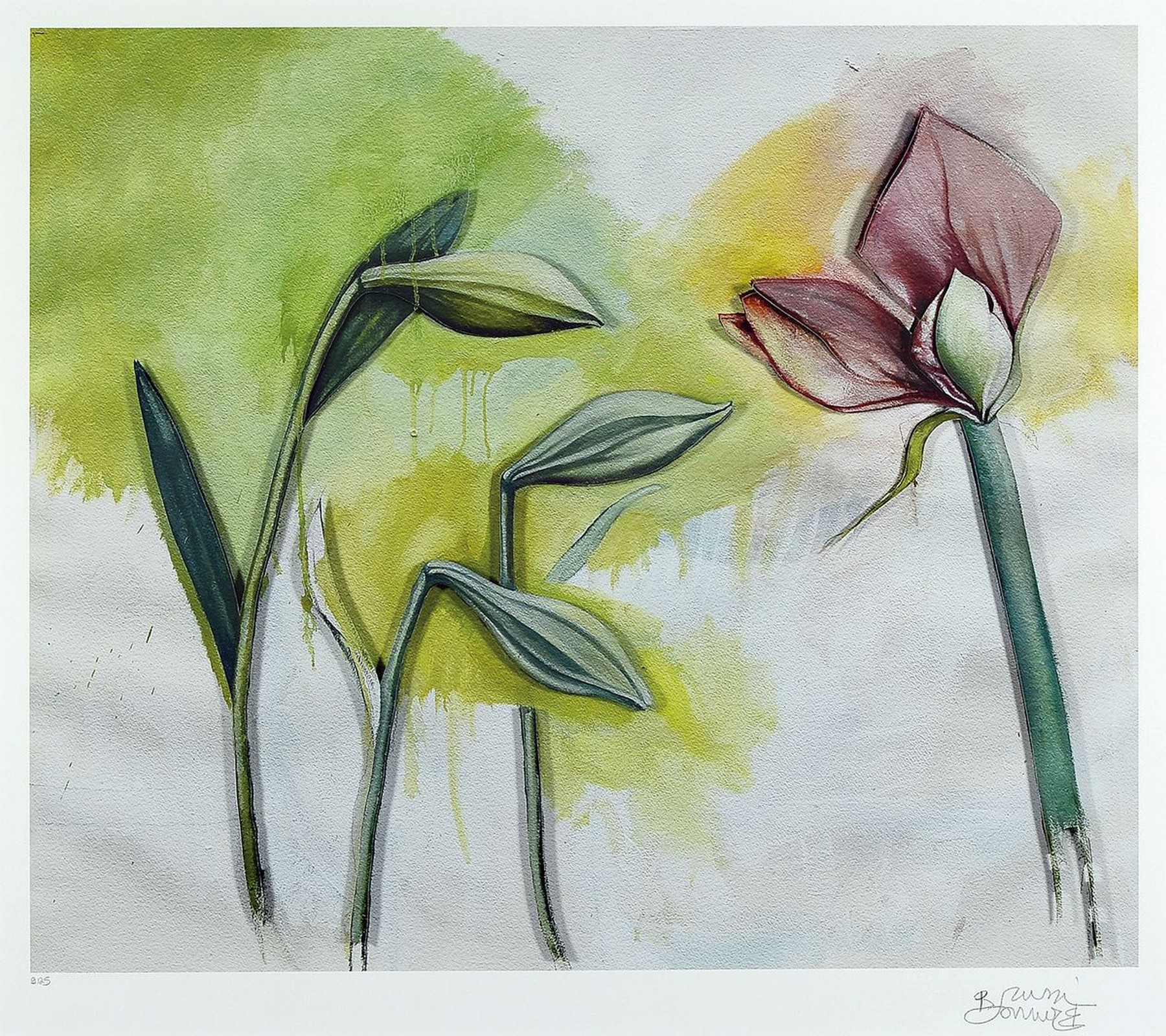 Bruno Bruni, geb. 1935 Gradara/Italien, Amaryllis, dreidimensionale Farblithographie, num. 9/25, handsigniert, ca. 42x50cm, PP, u.Gl., R. ca. 82x62cm
