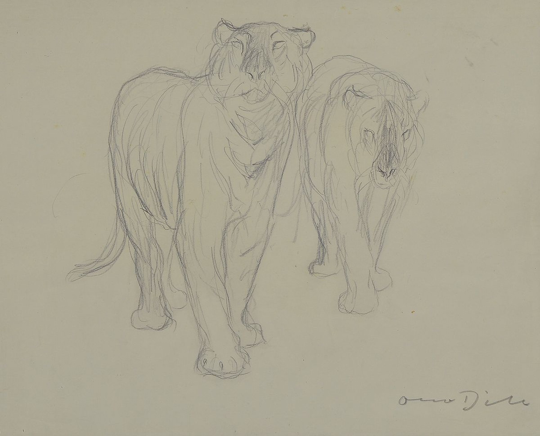 Otto Dill, 1884 Neustadt- 1957 Bad Dürkheim, Bleistiftzeichnung, zwei schreitende Tiger, forcierter Blickkontakt mit dem Betrachter, unter Glas ...