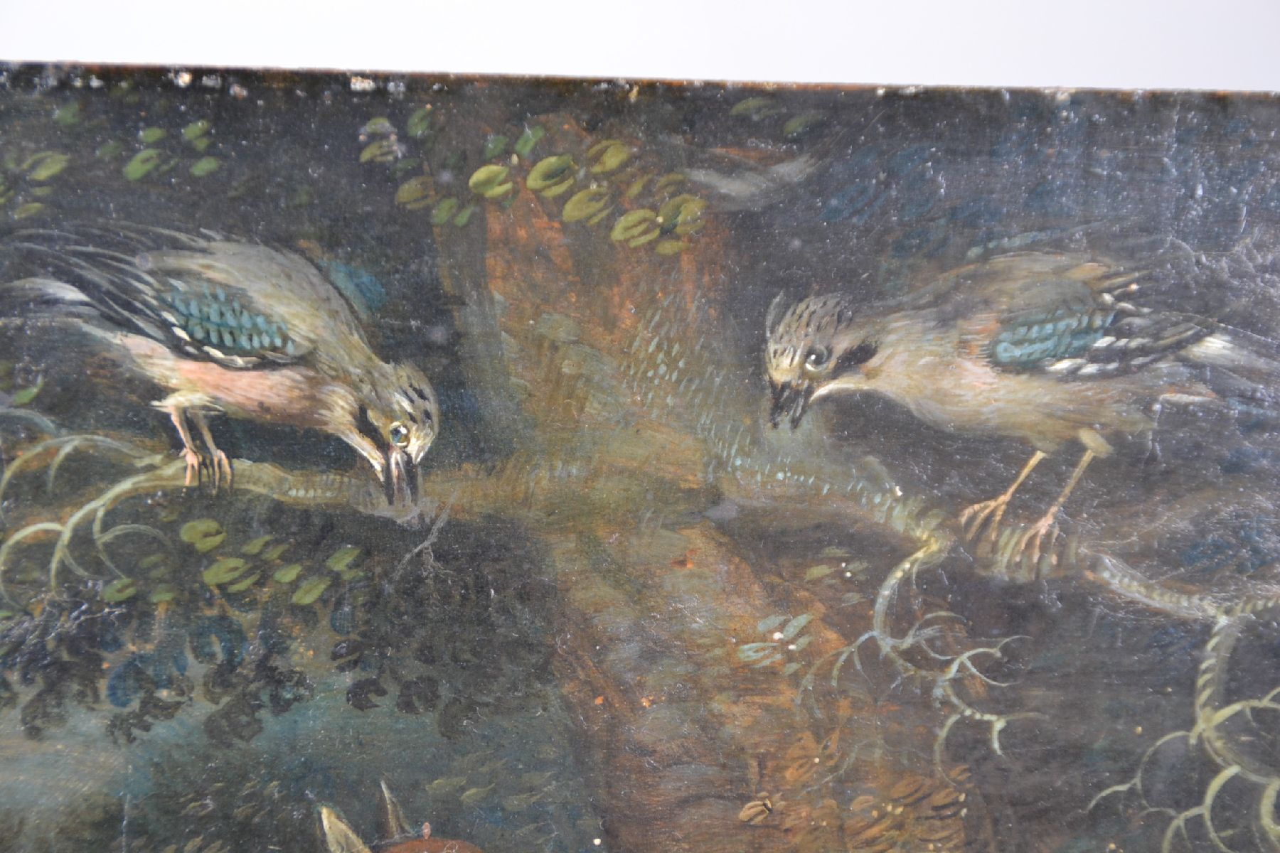 Detail e: Unbekannter Künstler des 19. Jh., zwei Füchse unter einem Baum, darauf zwei Vögel, Öl/Holz, unsigniert, verso bez., rest.,ca. 16.5x22.5cm
