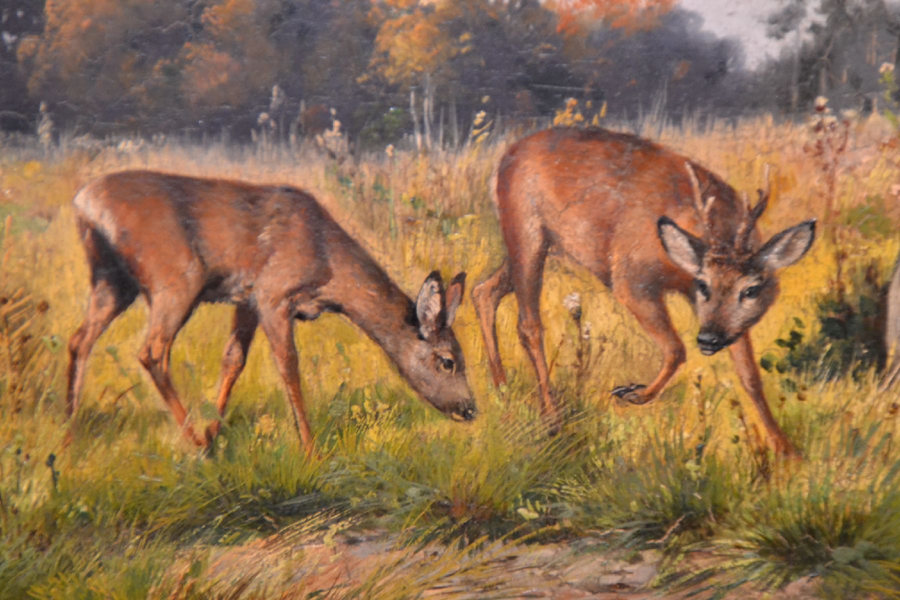 Detail c: Alfred Schönian, 1856 Frankfurt/Oder-1937 München, 2 Pendants: Rehe beim Äsen auf einer Lichtung, Röhrender Hirsch am Bachlauf, Öl/Holz, beide ...