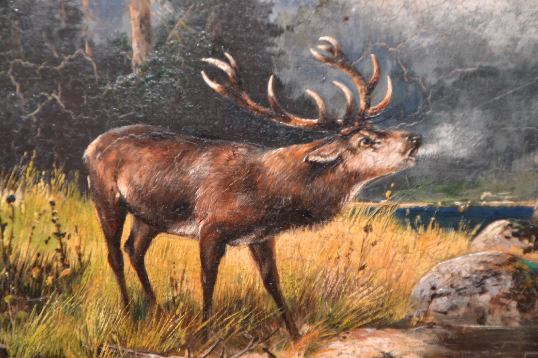 Detail i: Alfred Schönian, 1856 Frankfurt/Oder-1937 München, 2 Pendants: Rehe beim Äsen auf einer Lichtung, Röhrender Hirsch am Bachlauf, Öl/Holz, beide ...