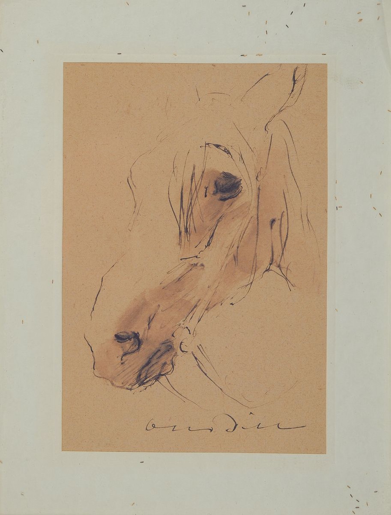 Otto Dill, 1884 Neustadt-1957 Bad Dürkheim, Pferdekopf, Tuschfederzeichnung, aquarelliert, handsigniert, leicht gebräunt, ca. 14x9.5cm, PP, u.Gl., ...