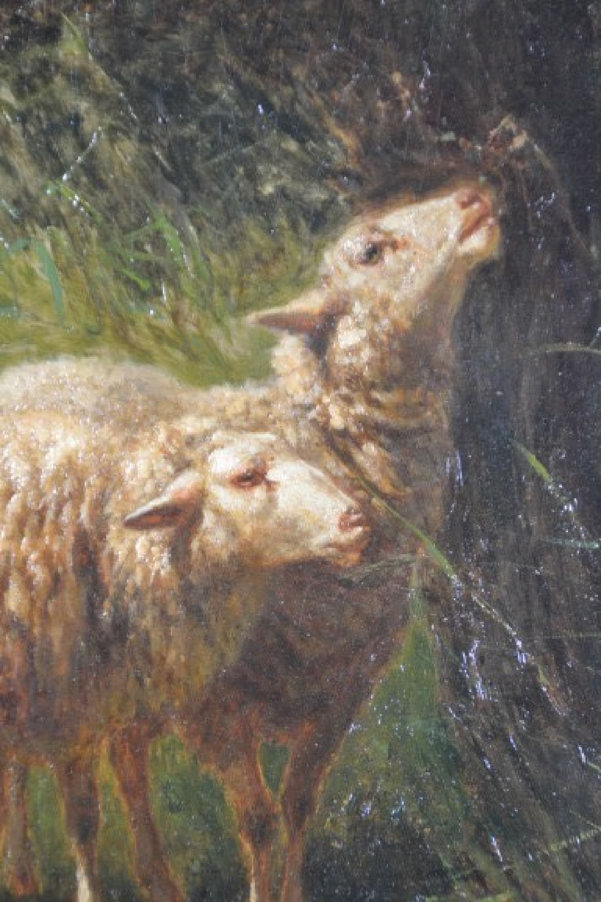 Detail a: Edouard Woutermaertens, 1819 Kortrijk (Belgien) - 1897 ebenda, belgischer Tiermaler, Schüler von Louis Robbe (1806-1887), zwei Schafe im hohen Gras, ...