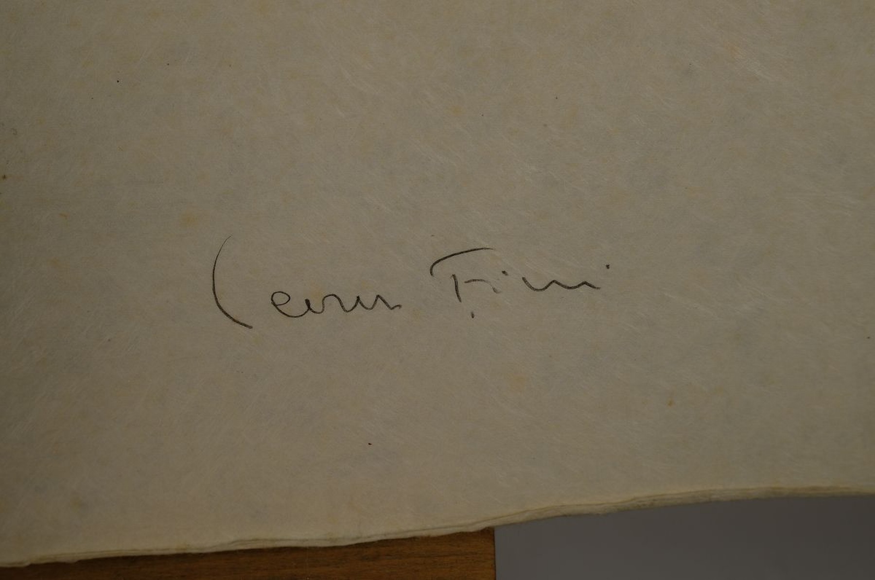 Detail c: Leonor Fini, 1907 - 1996, drei Farblithographien, versch. Darstellungen, Frau mit Katze, stil. Sphinx und liegende Frau, alle handsigniert, z.T. ...