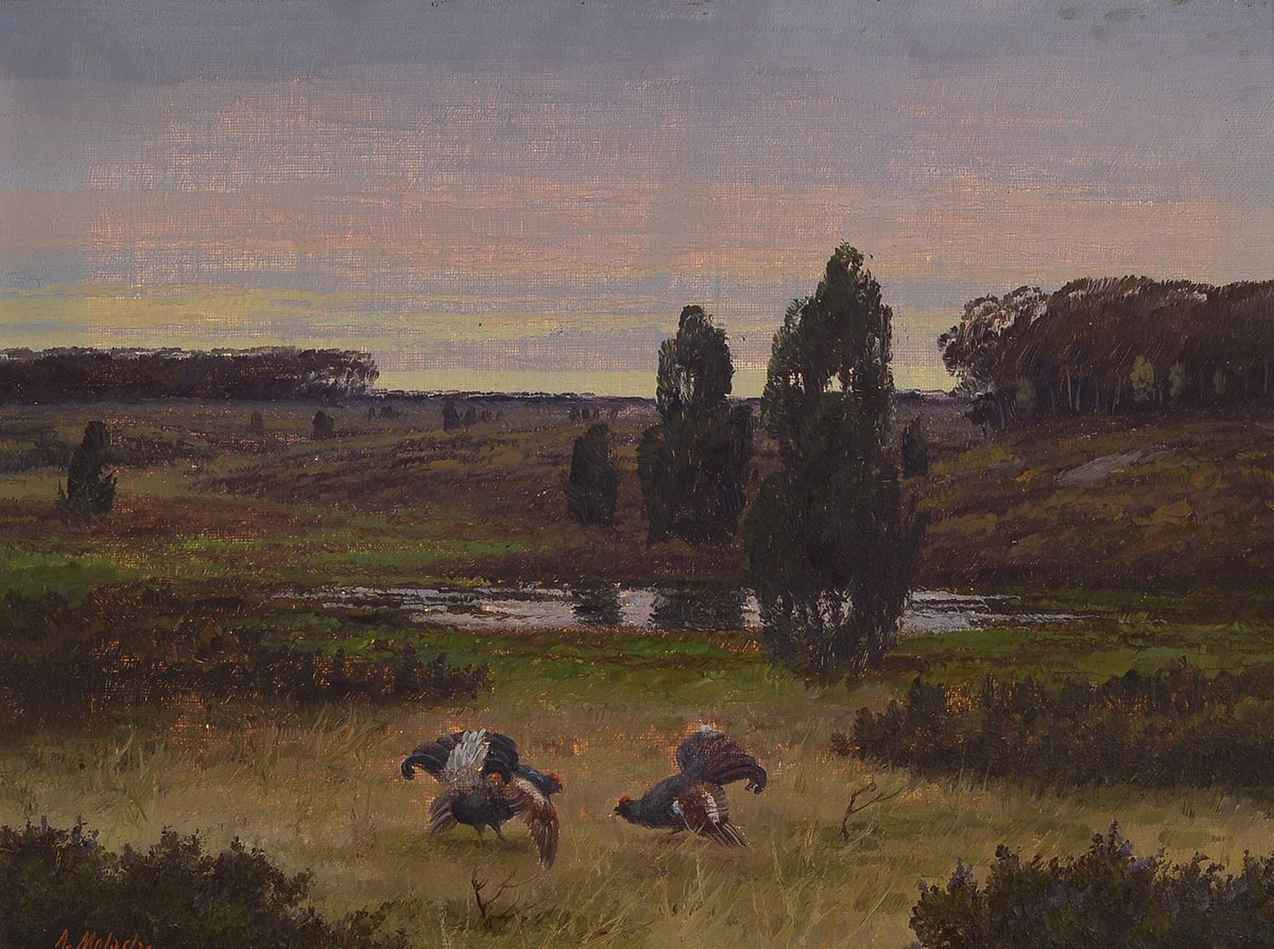August Mötsch, 1869 Düsseldorf - 1952, Morgenstimmung mit balzenden Auerhähnen, Öl/Lwd, li. u. signiert, ca. 30 x 40 cm Rahmen
