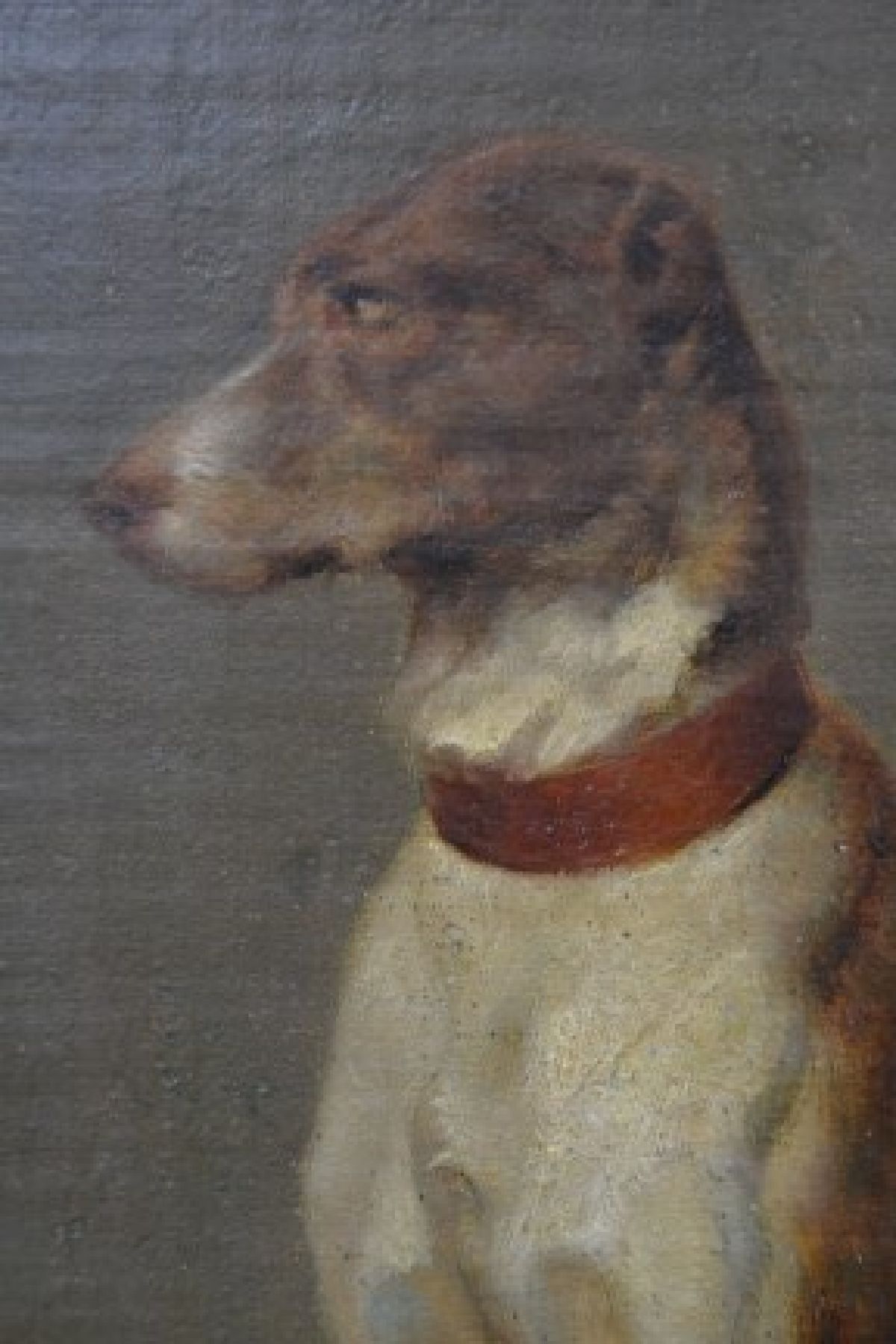 Detail b: Unbekannter Maler des 19. Jh., sitzender Hund, feine detaillierte Malerei, Öl/Hartfaserplatte, ca. 28x20cm, R. ca. 40x33cm