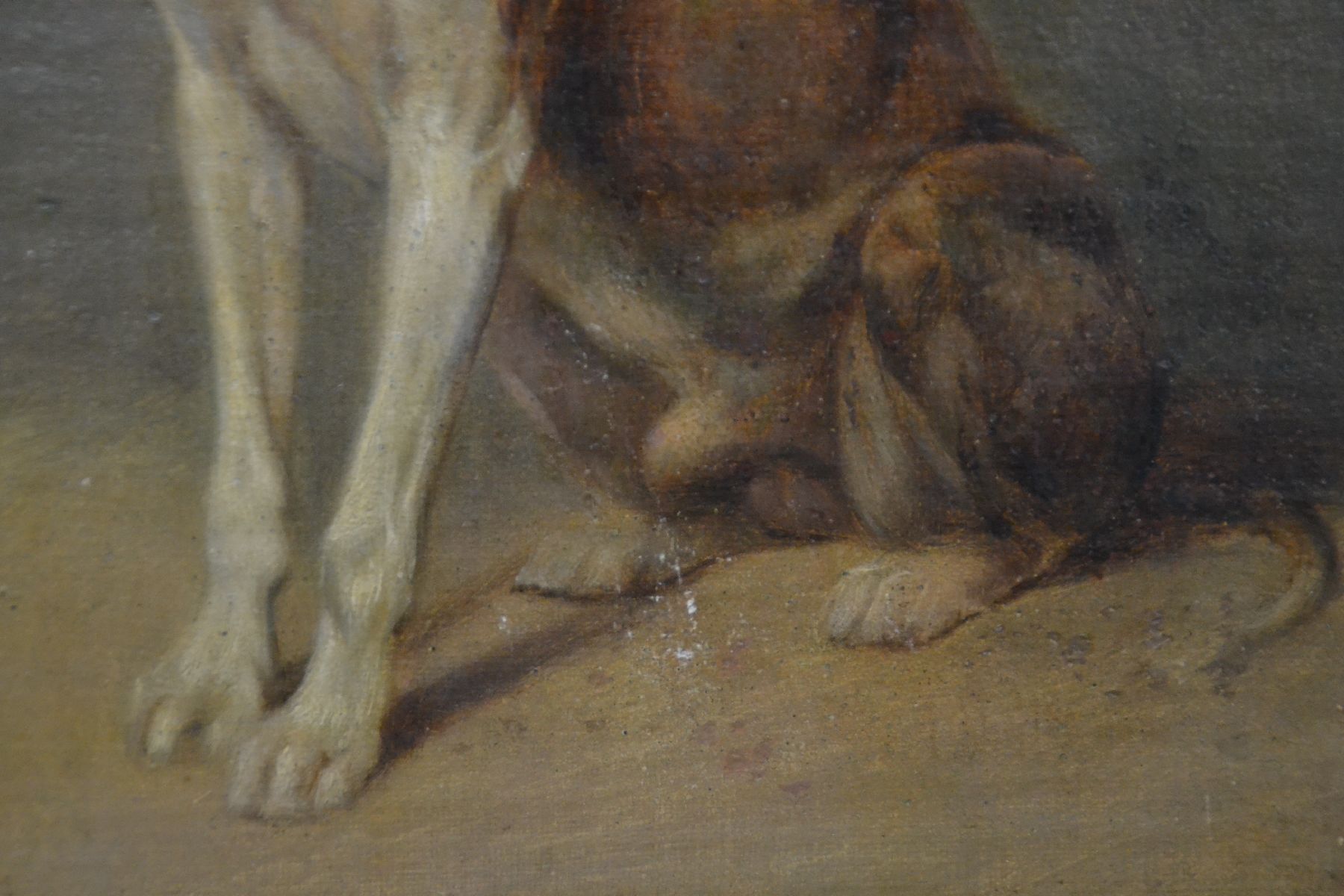 Detail c: Unbekannter Maler des 19. Jh., sitzender Hund, feine detaillierte Malerei, Öl/Hartfaserplatte, ca. 28x20cm, R. ca. 40x33cm