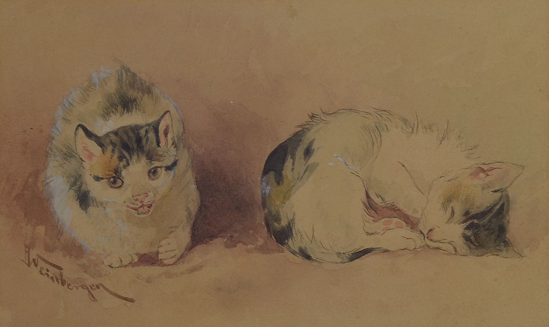 Anton Weinberger, 1843 München-1912 Taunusstein, zwei Katzen, Aquarell auf Papier, links unten signiert, ca. 15x25cm, PP, u.Gl., R. ca. 34x44cm, ...