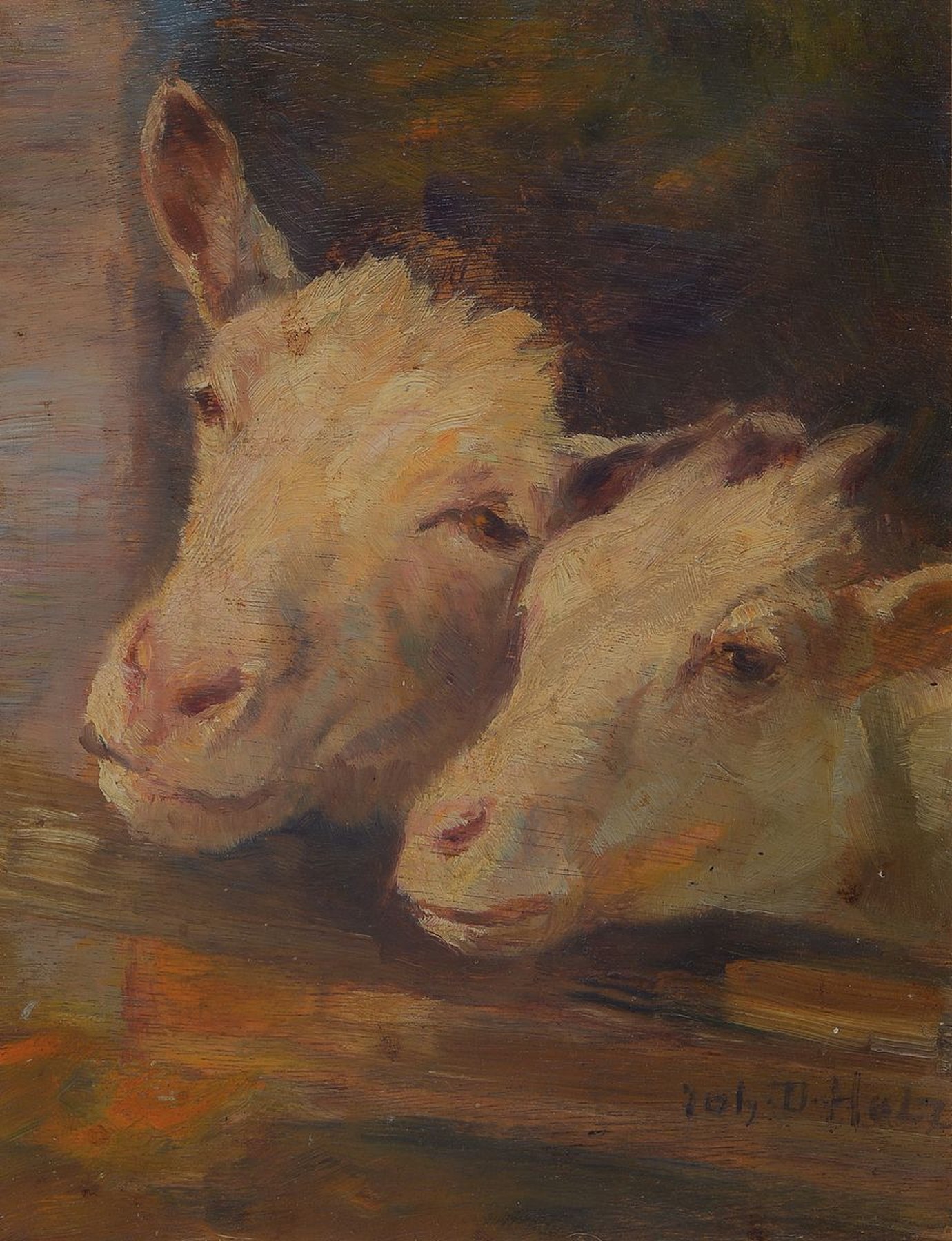 Johann Daniel Holz, 1867 Bremen-1945 Fürstenfeldbruck, 2 Kälberköpfe, Öl/Holz, rechts unten signiert, ca. 19x24cm, R. ca. 25x30cm